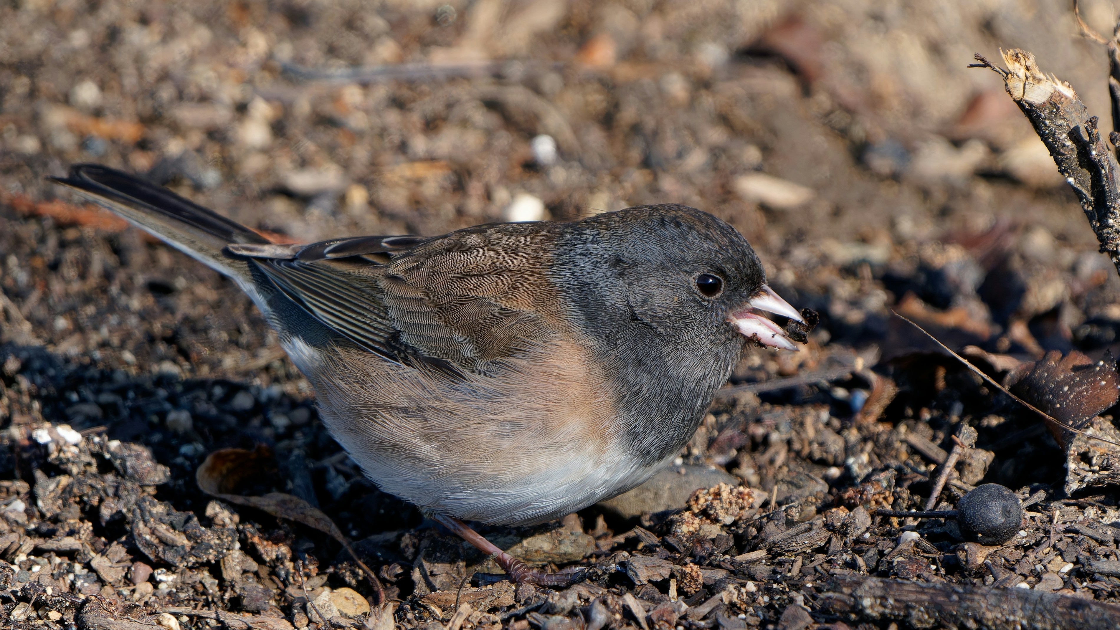 Photo by patrickbigelow_zoom_in