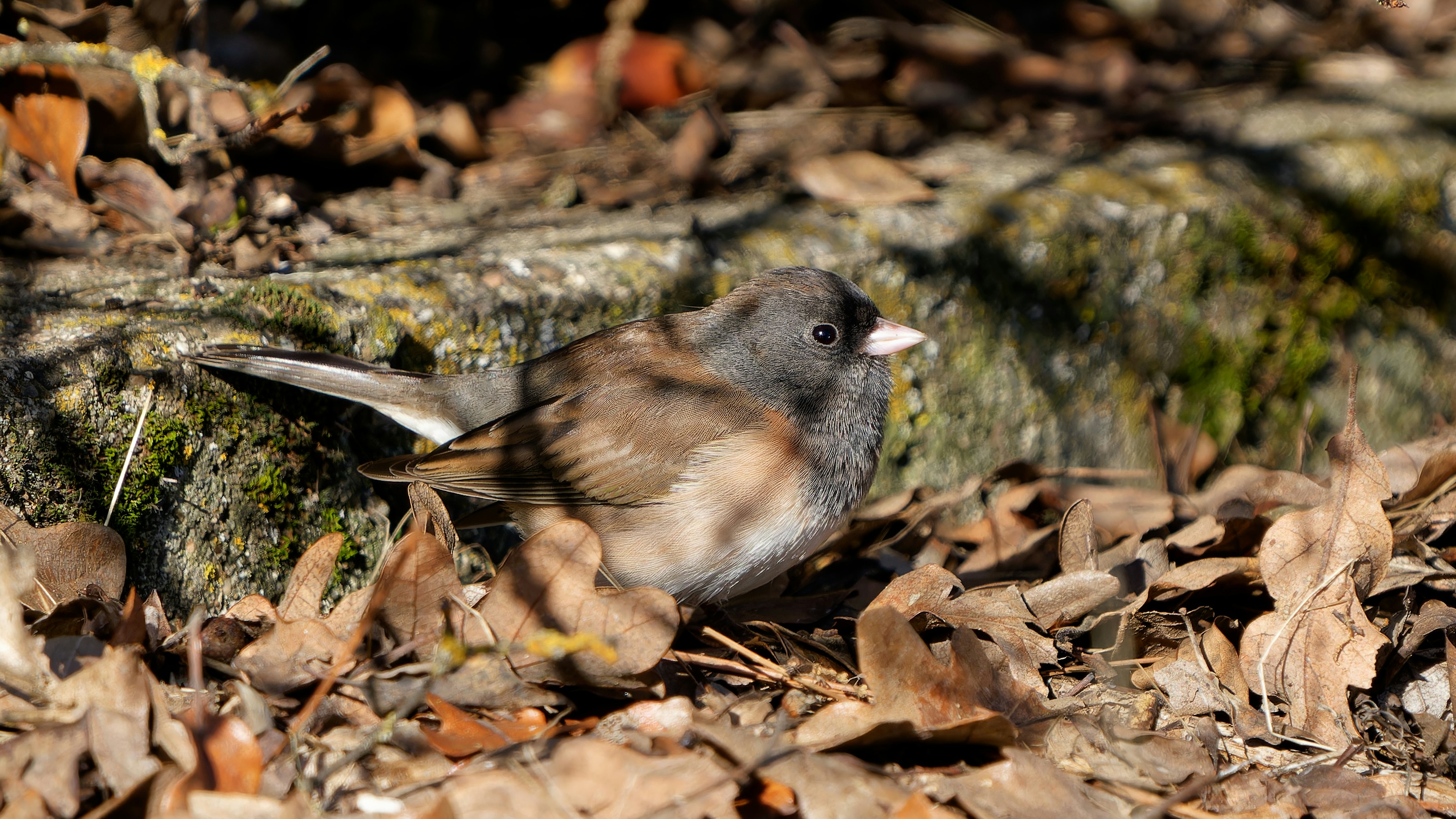 Photo by patrickbigelow_zoom_in