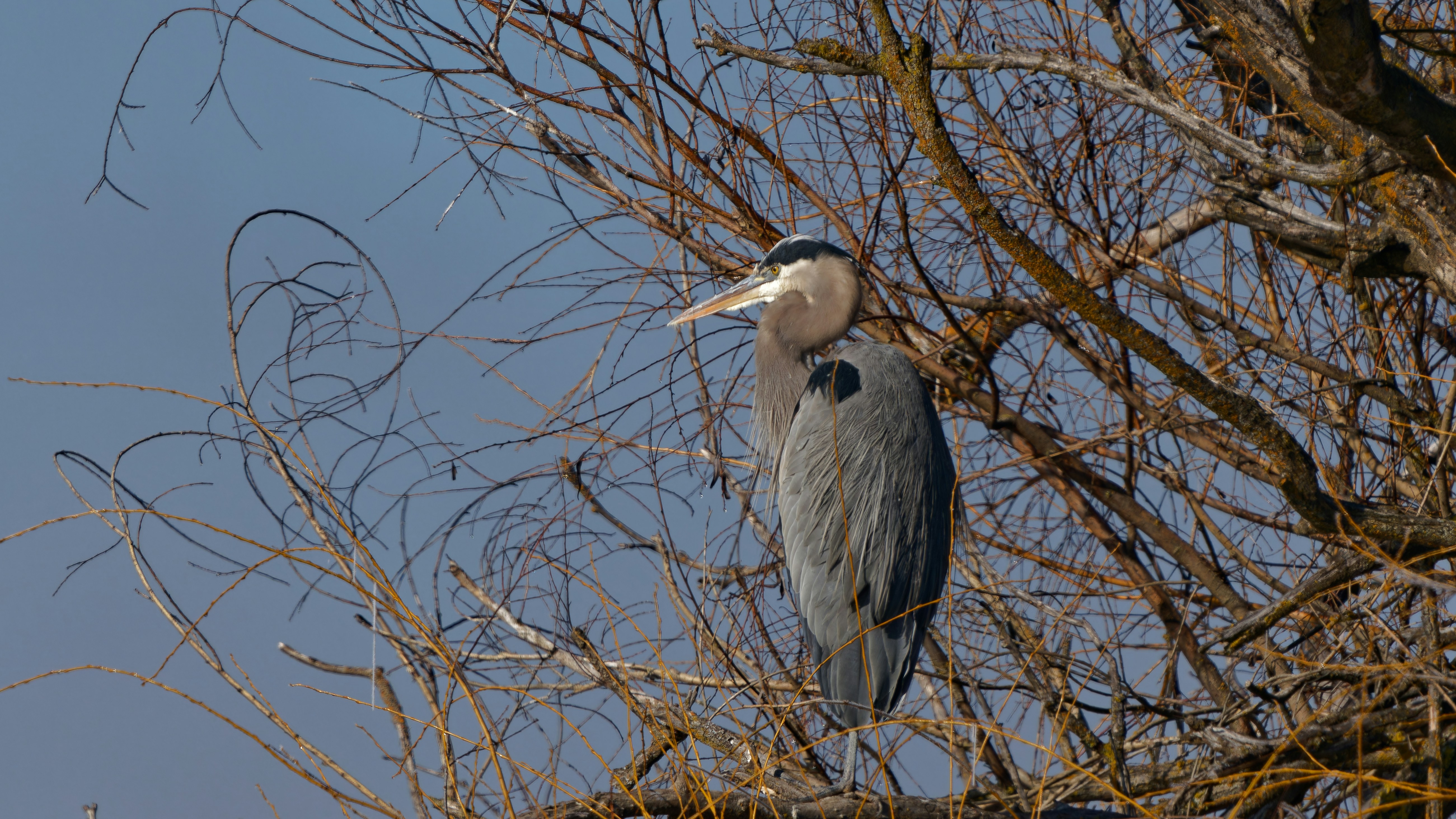 Photo by patrickbigelow_zoom_in