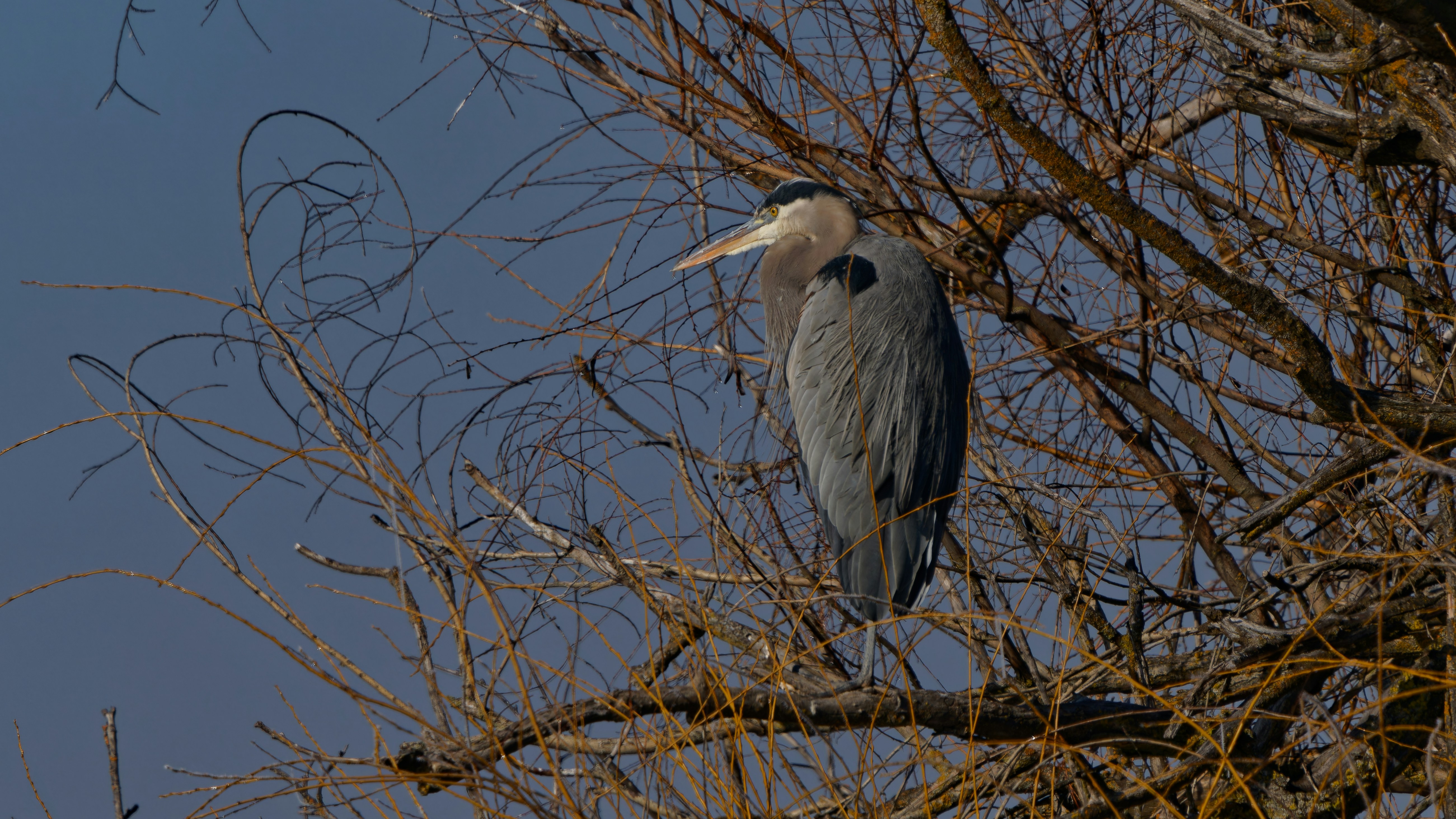 Photo by patrickbigelow_zoom_in