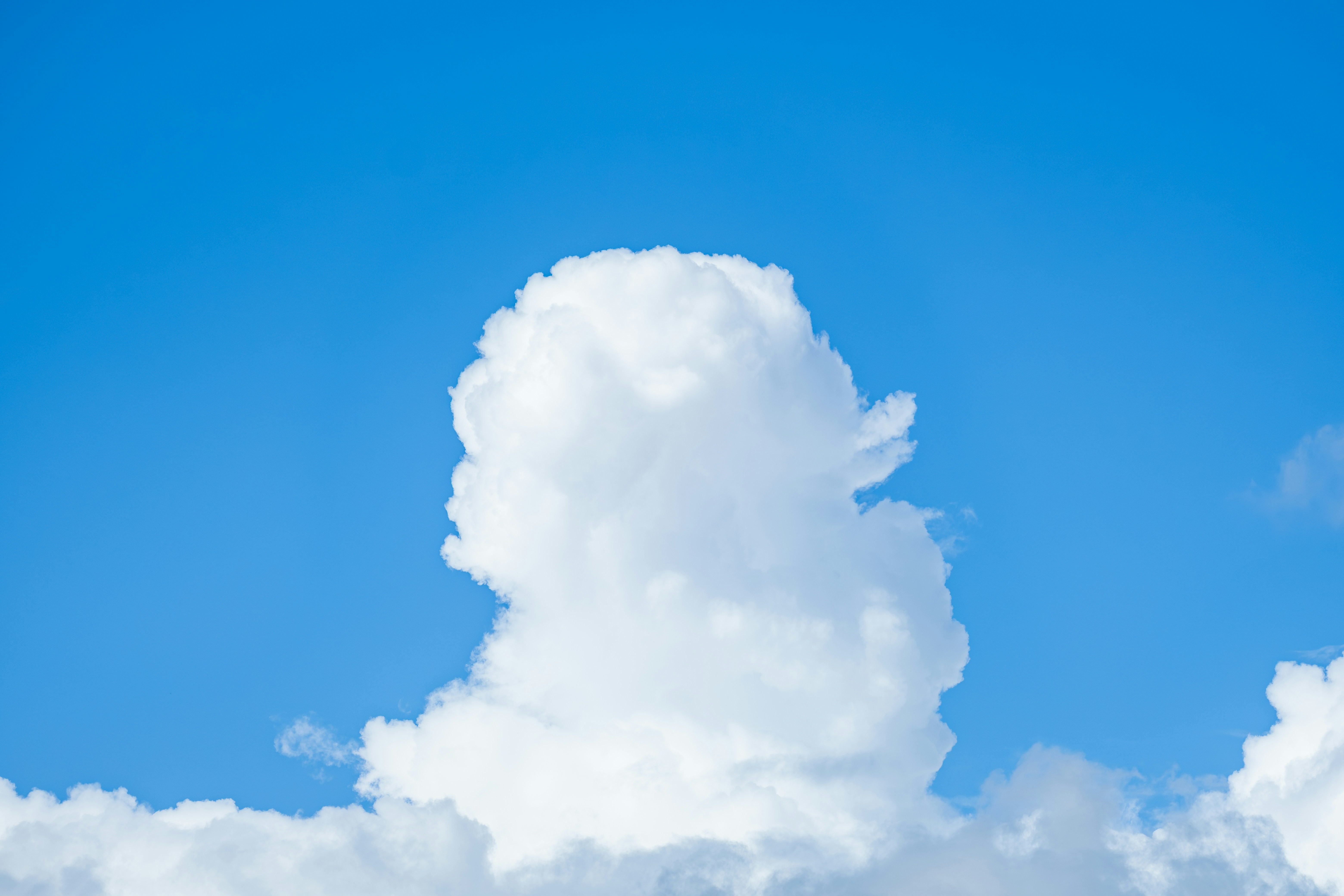 Best Managed Cloud Hosting Tips for Beginners: The Ultimate 2026 Guide