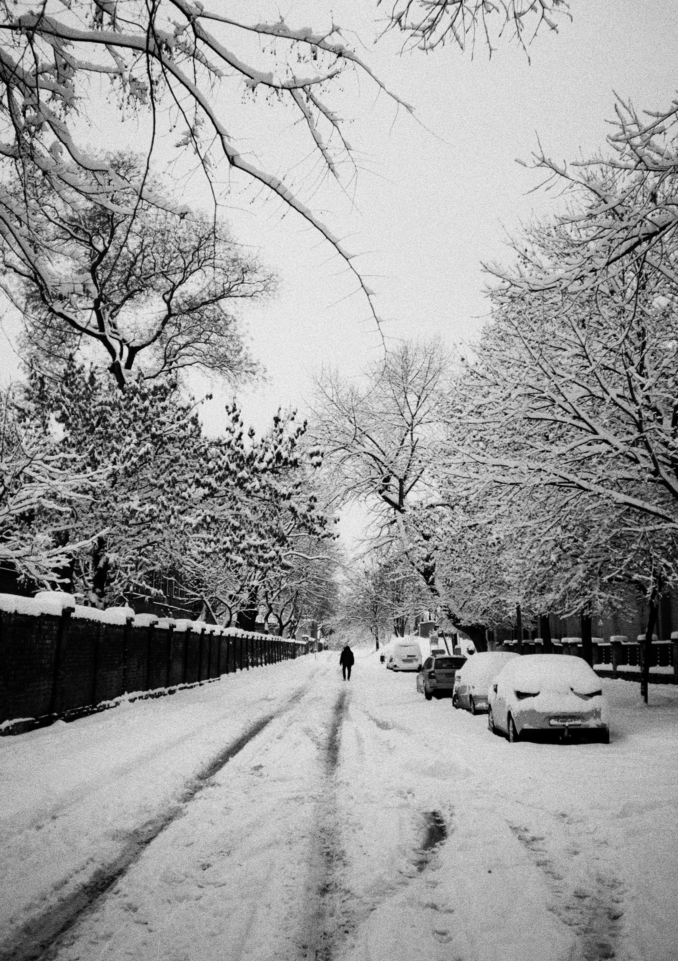 A person walks down a snow-covered street with parked cars.