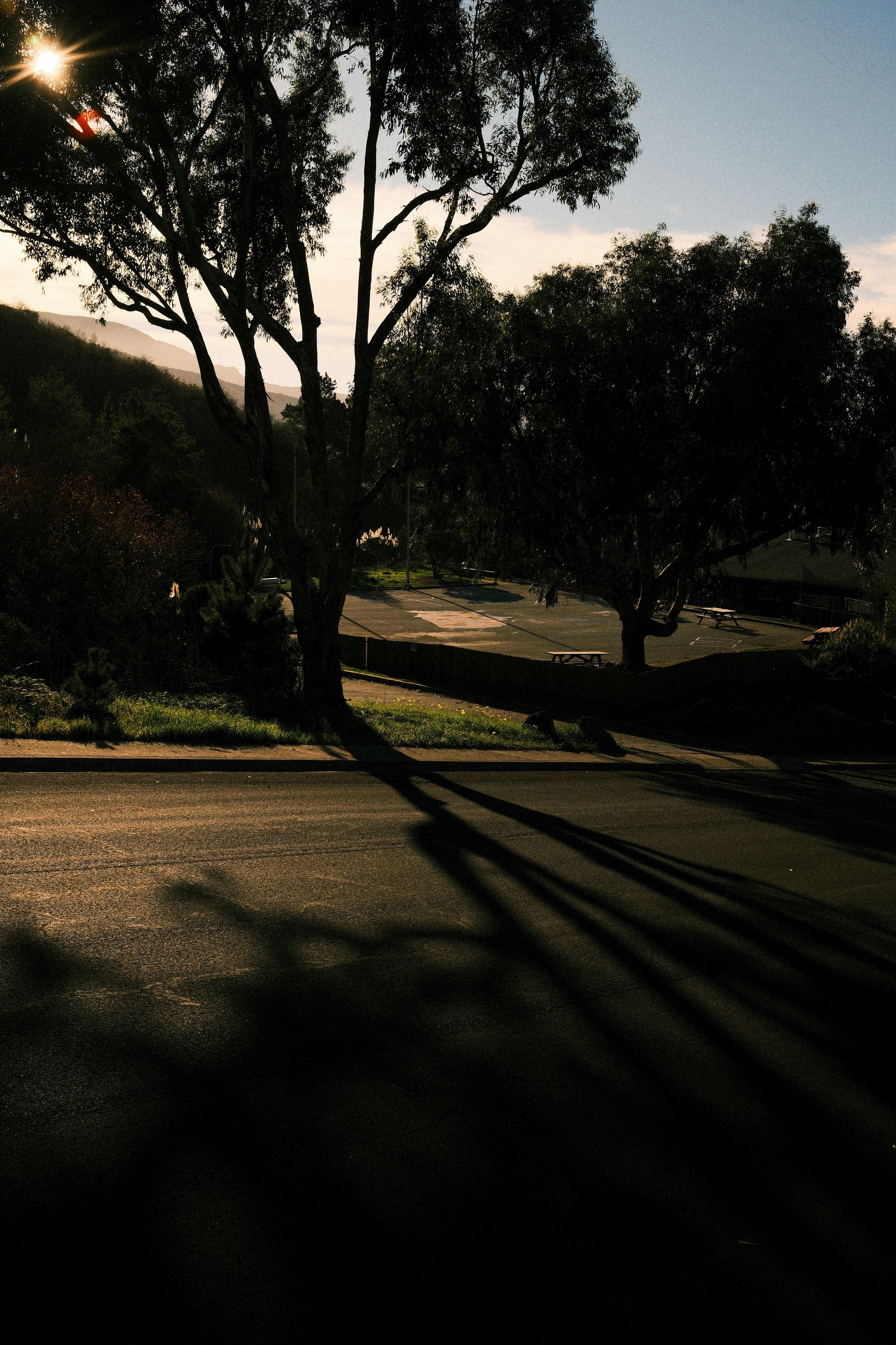 Photo by kalaniparker