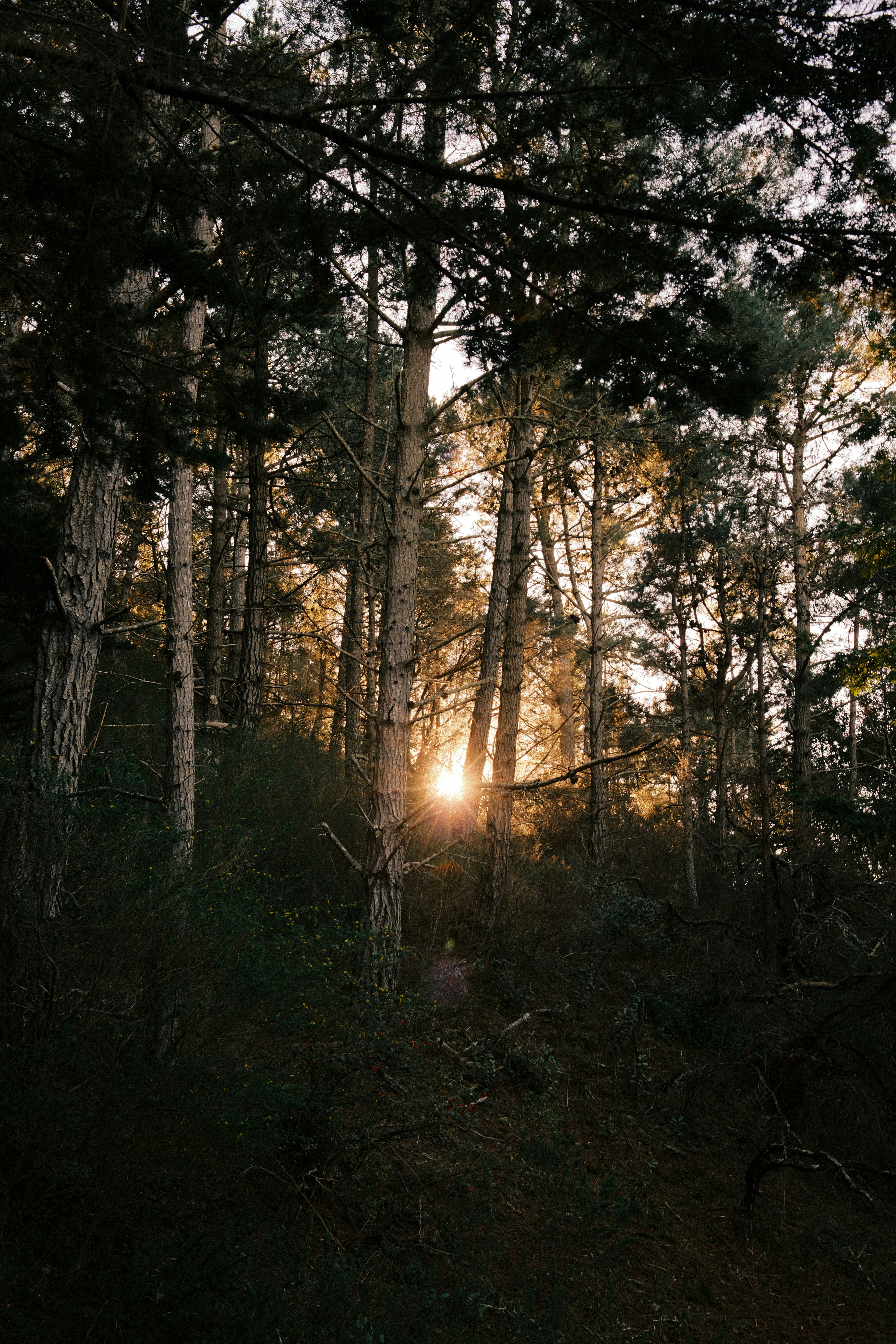 Photo by kalaniparker