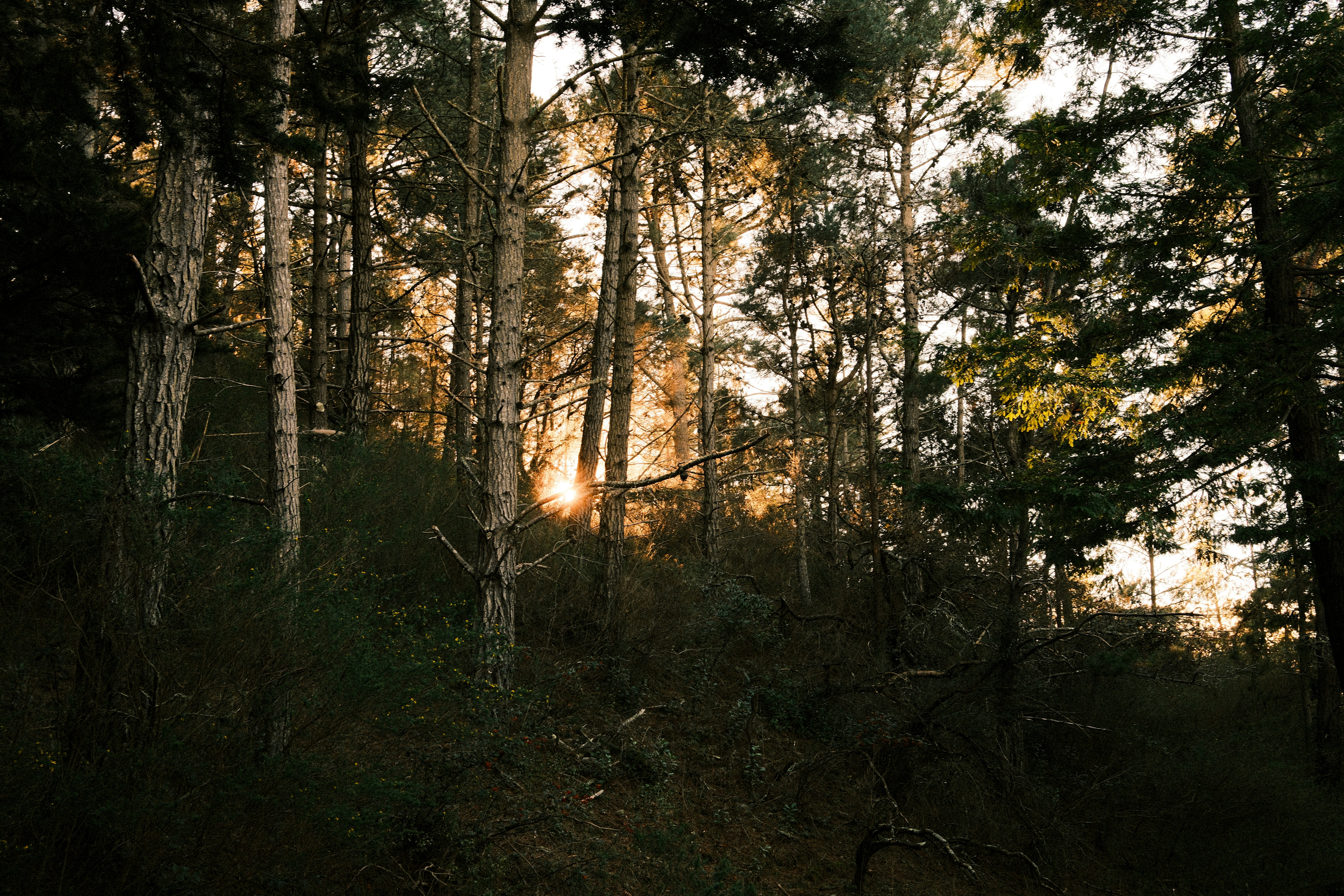 Photo by kalaniparker