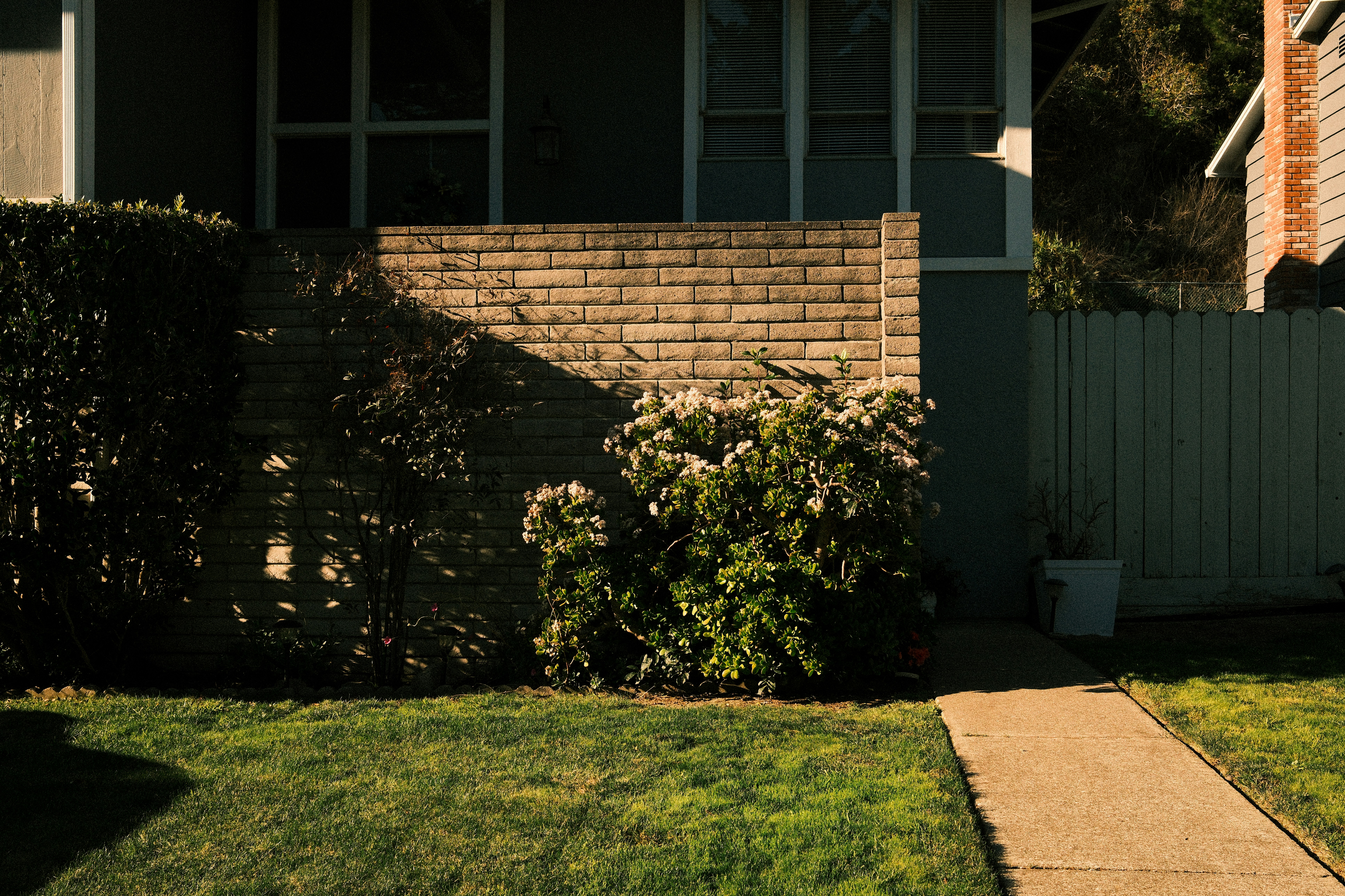 Photo by kalaniparker