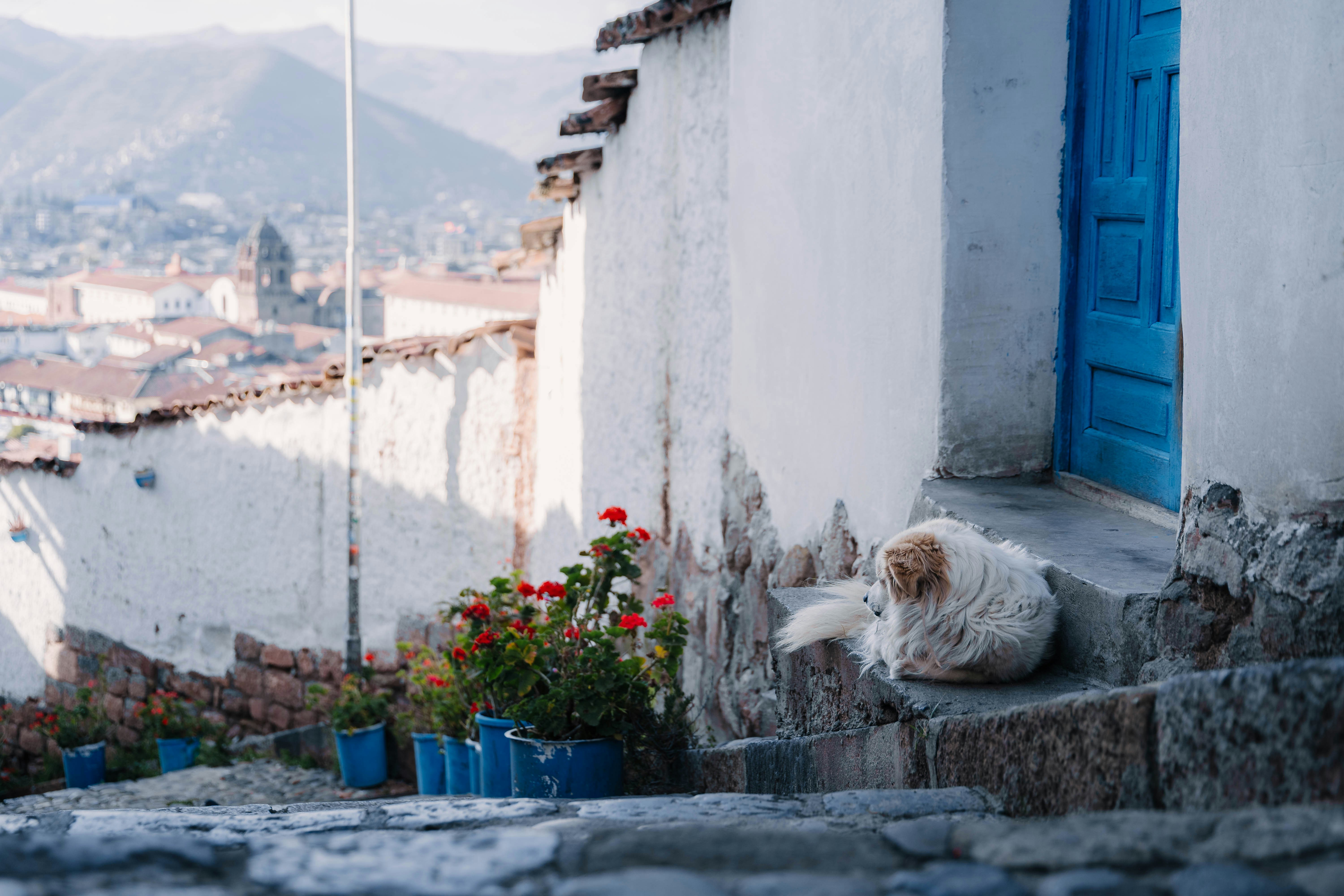 Photo by carbonmonoxide