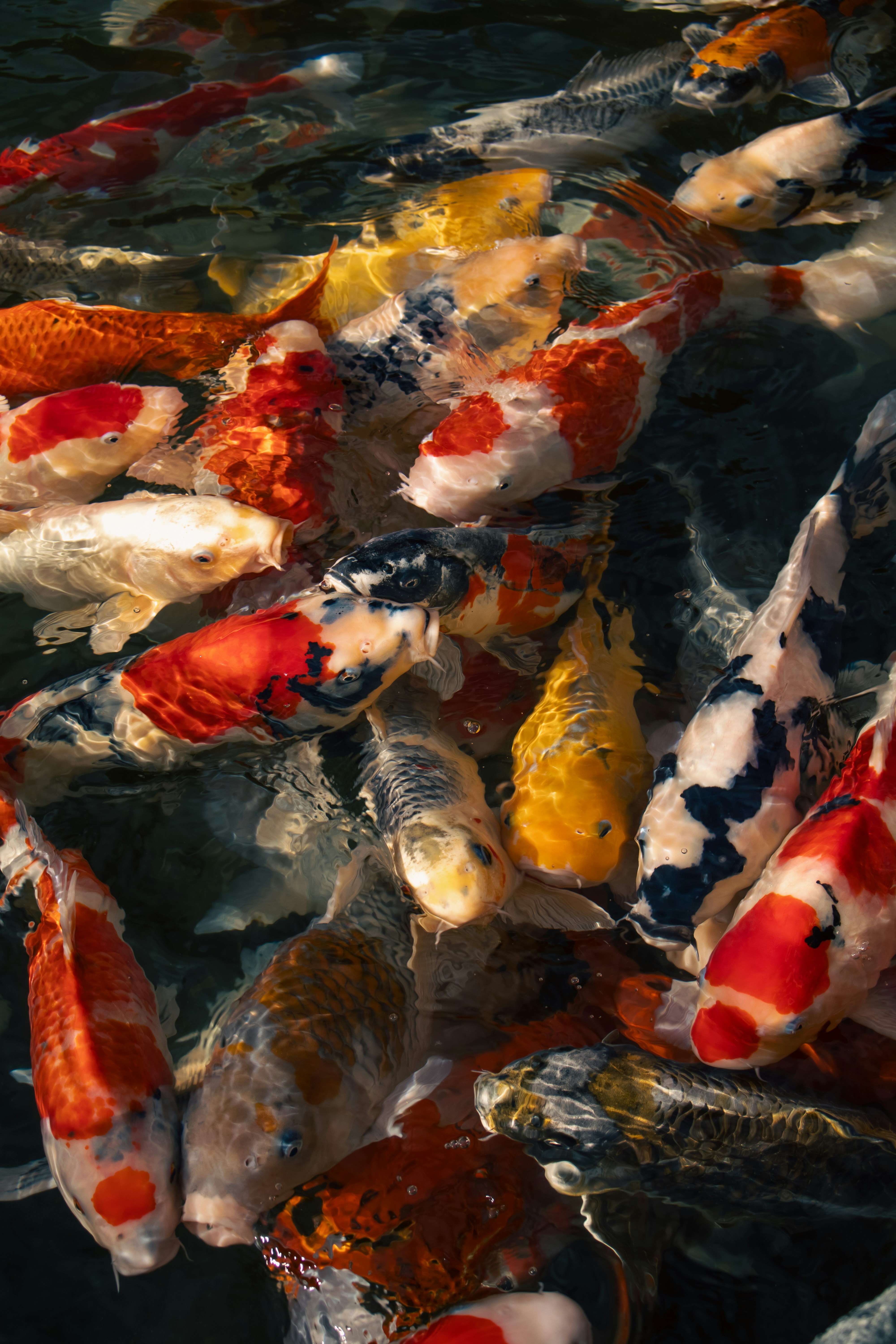 Photo by katekasiutich