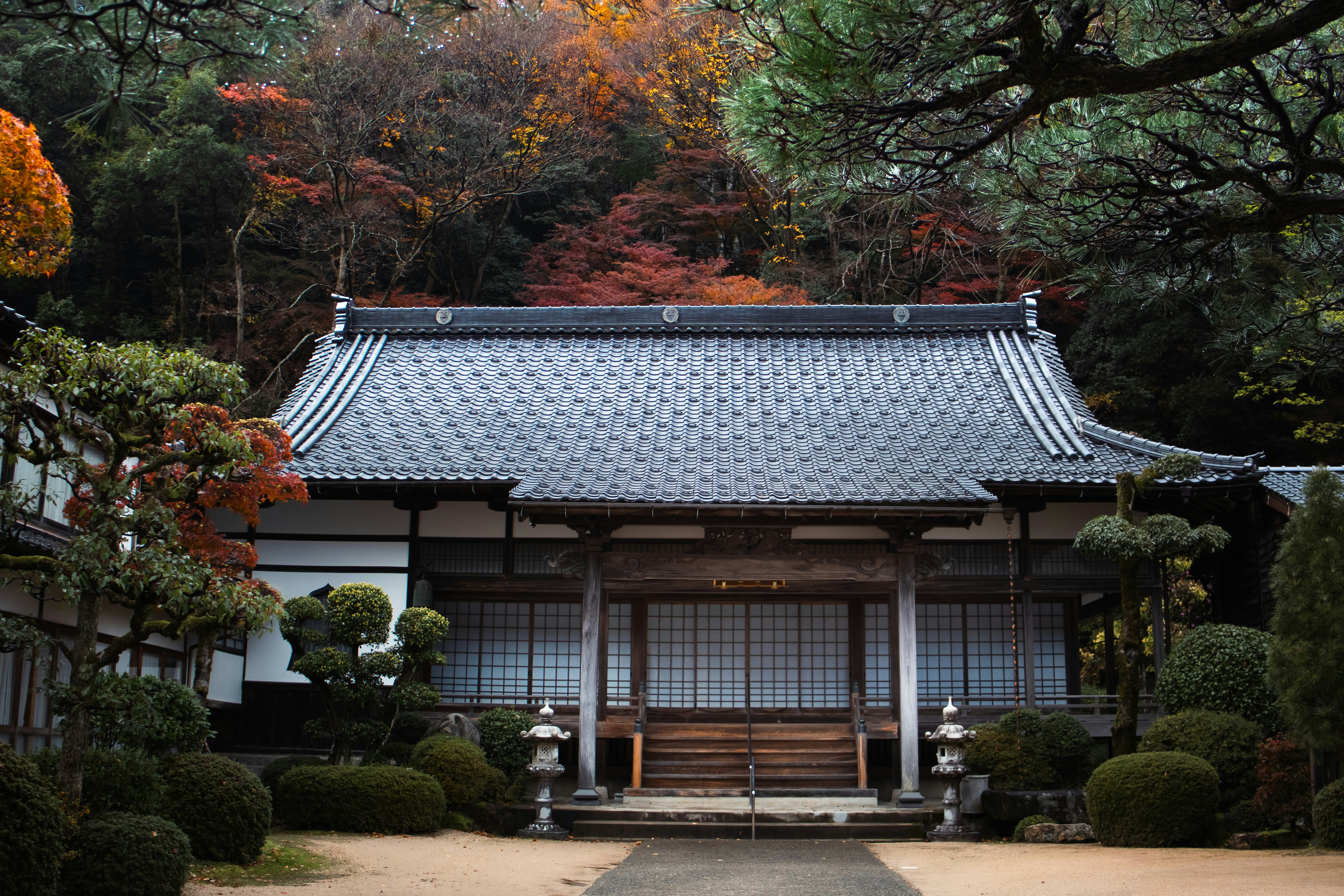 Photo by katekasiutich