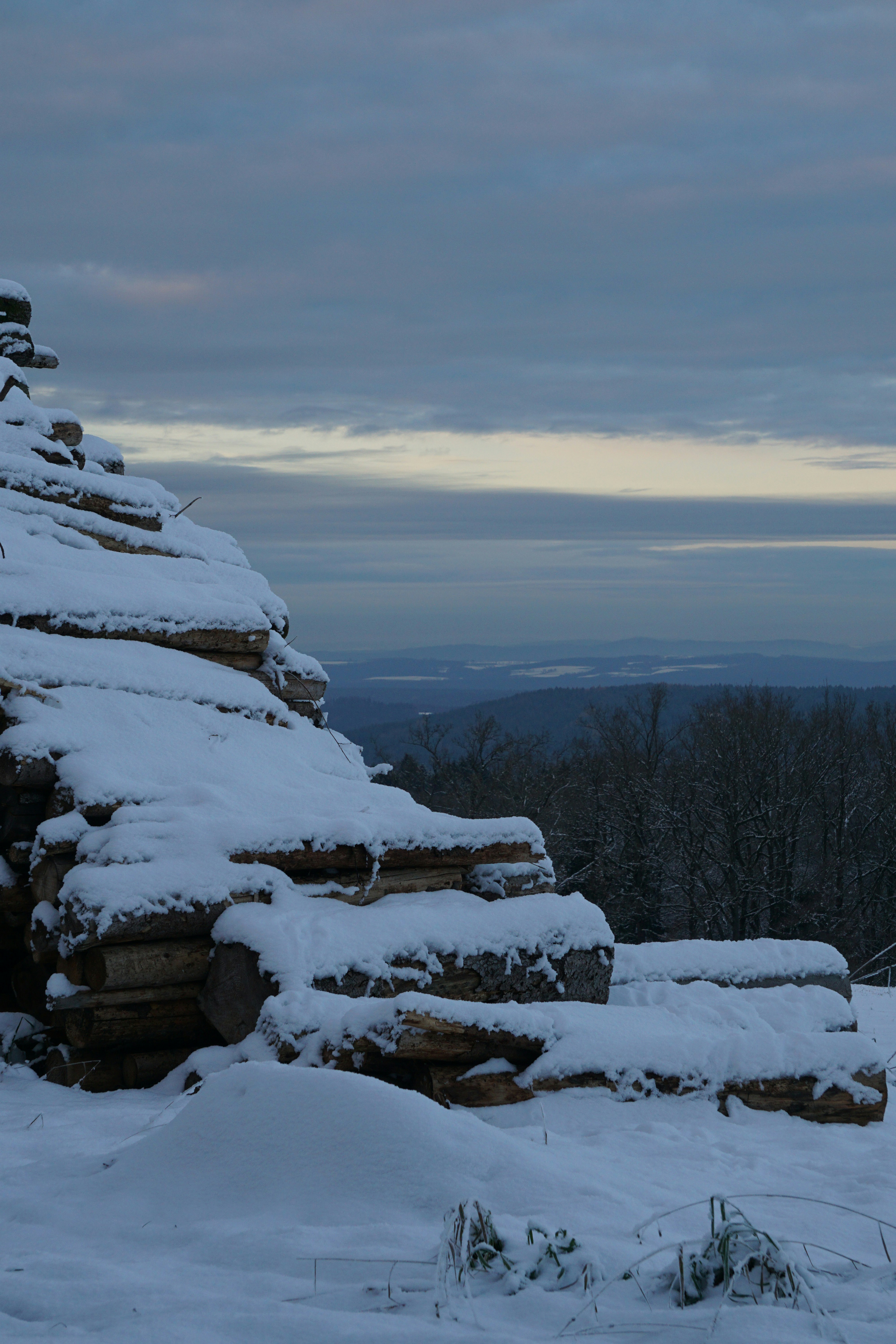 Logs stacked in snow with a cloudy sky