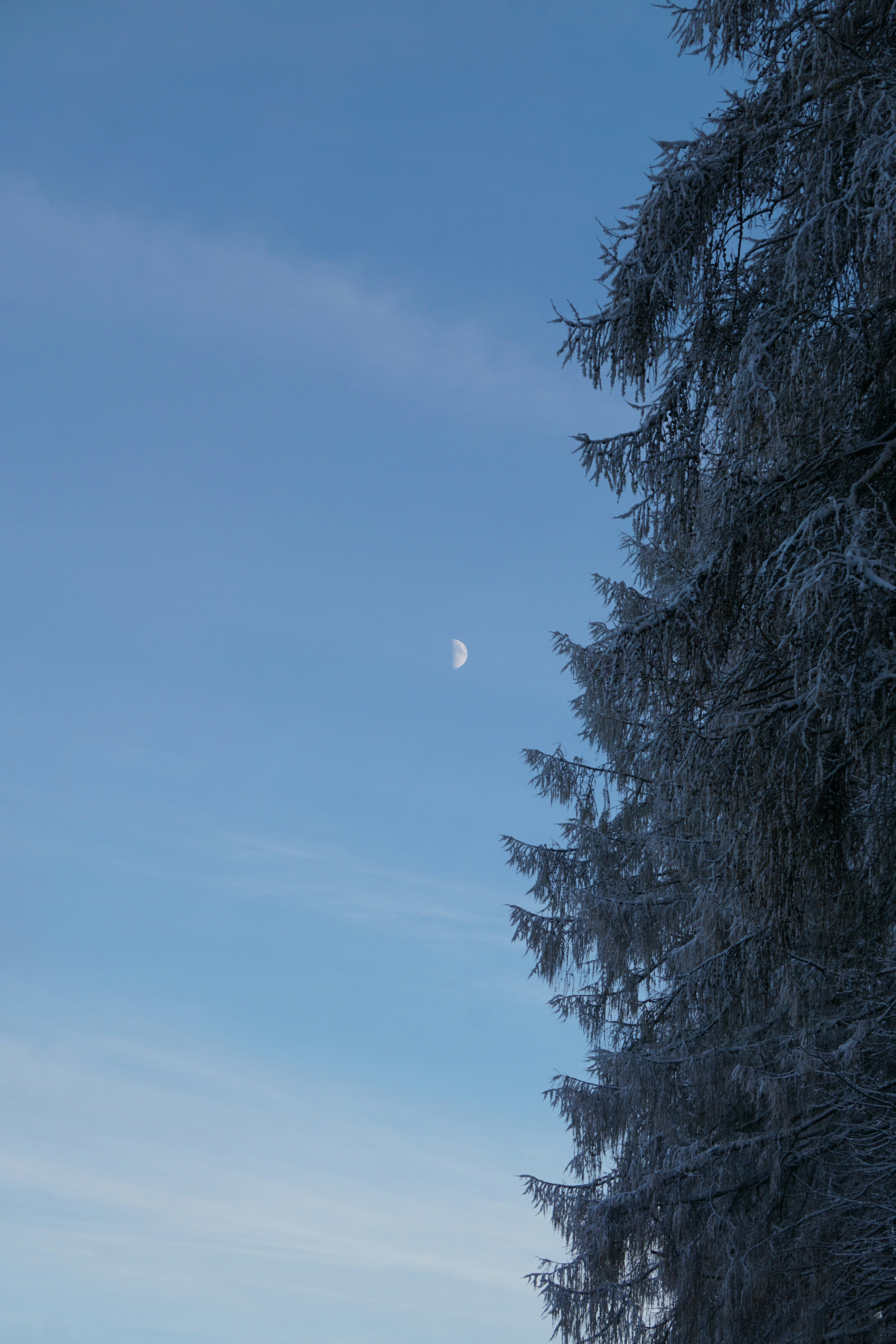 Photo by marie_hastreiter