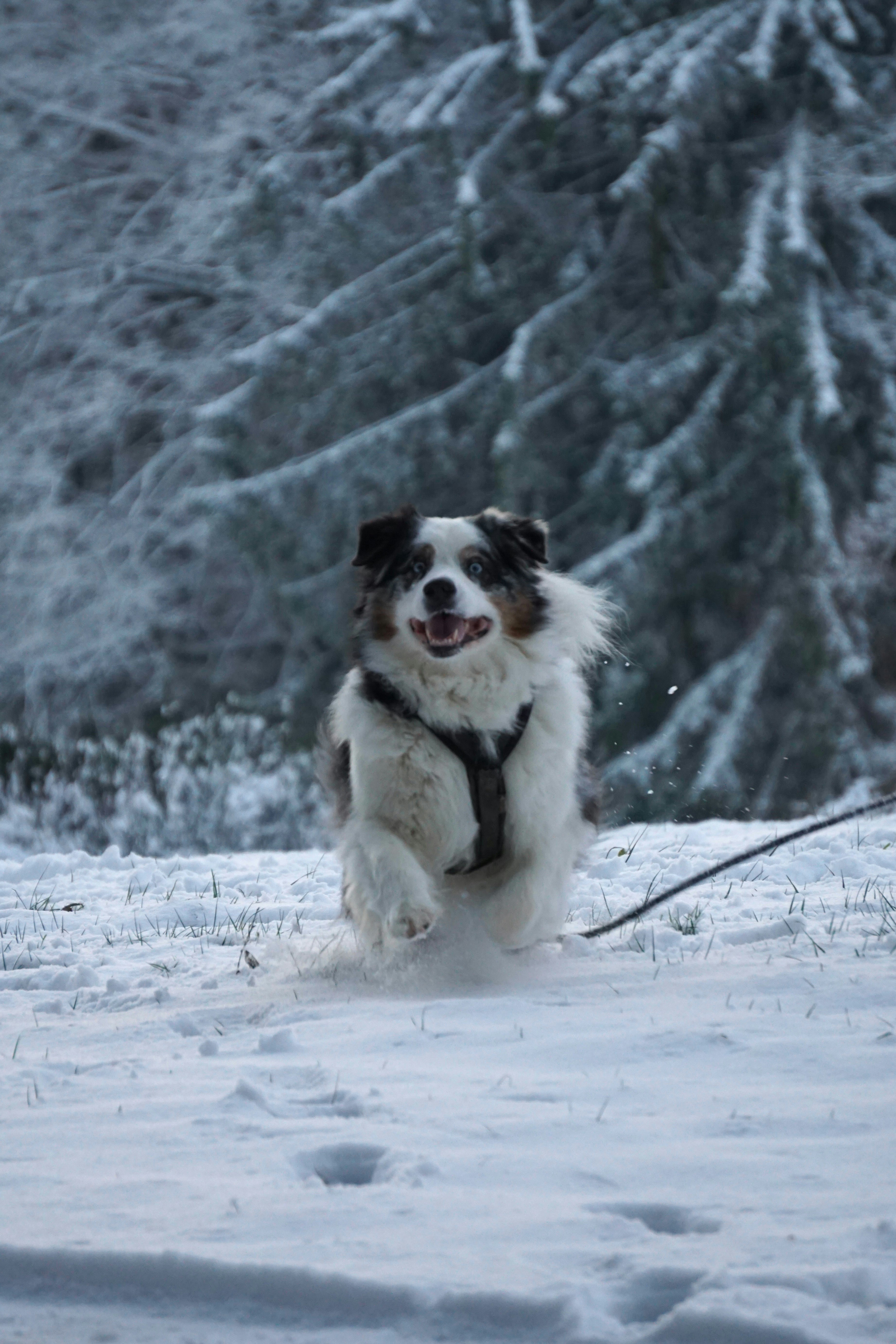 Photo by marie_hastreiter