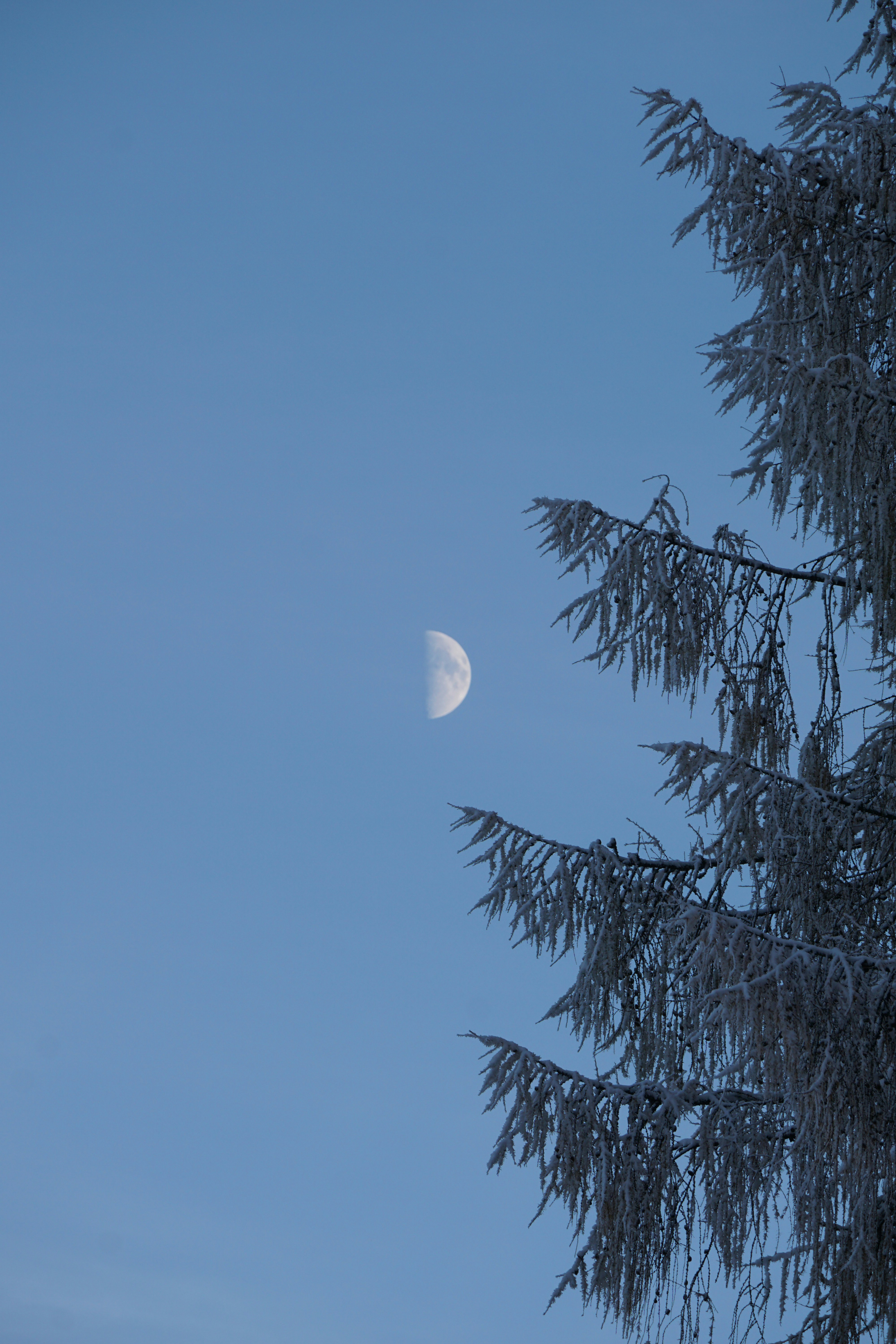 Photo by marie_hastreiter