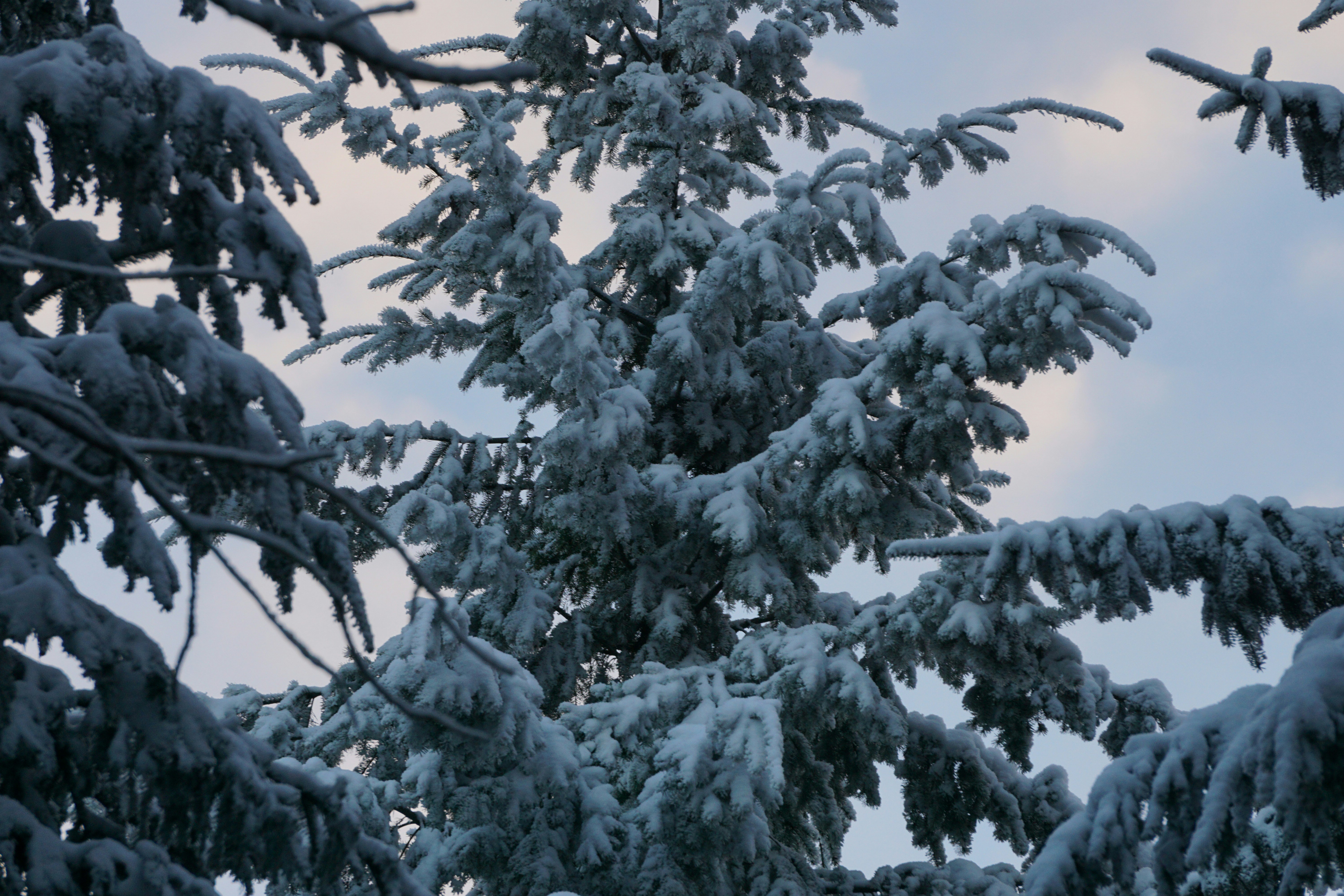 Photo by marie_hastreiter