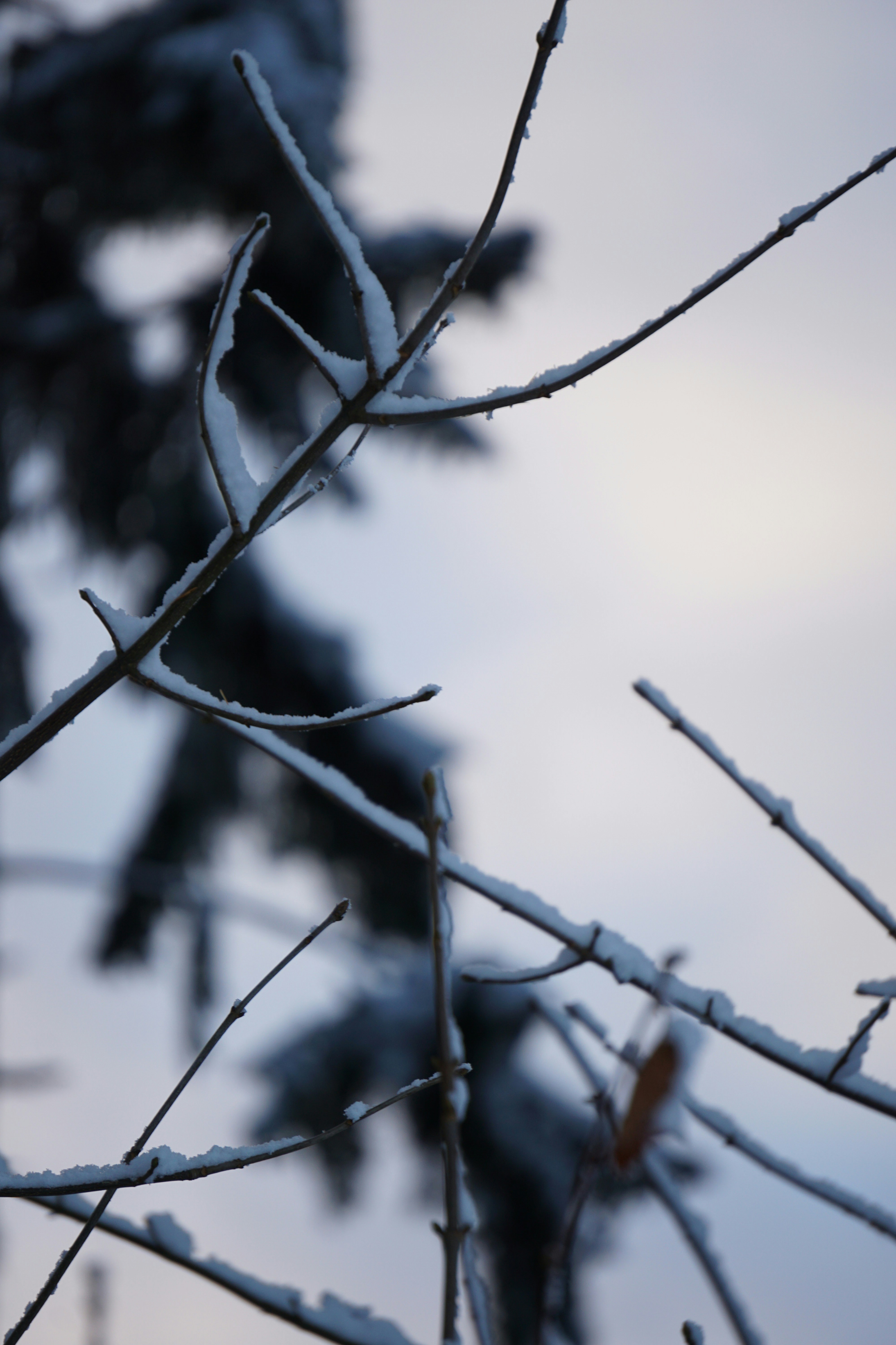 Photo by marie_hastreiter