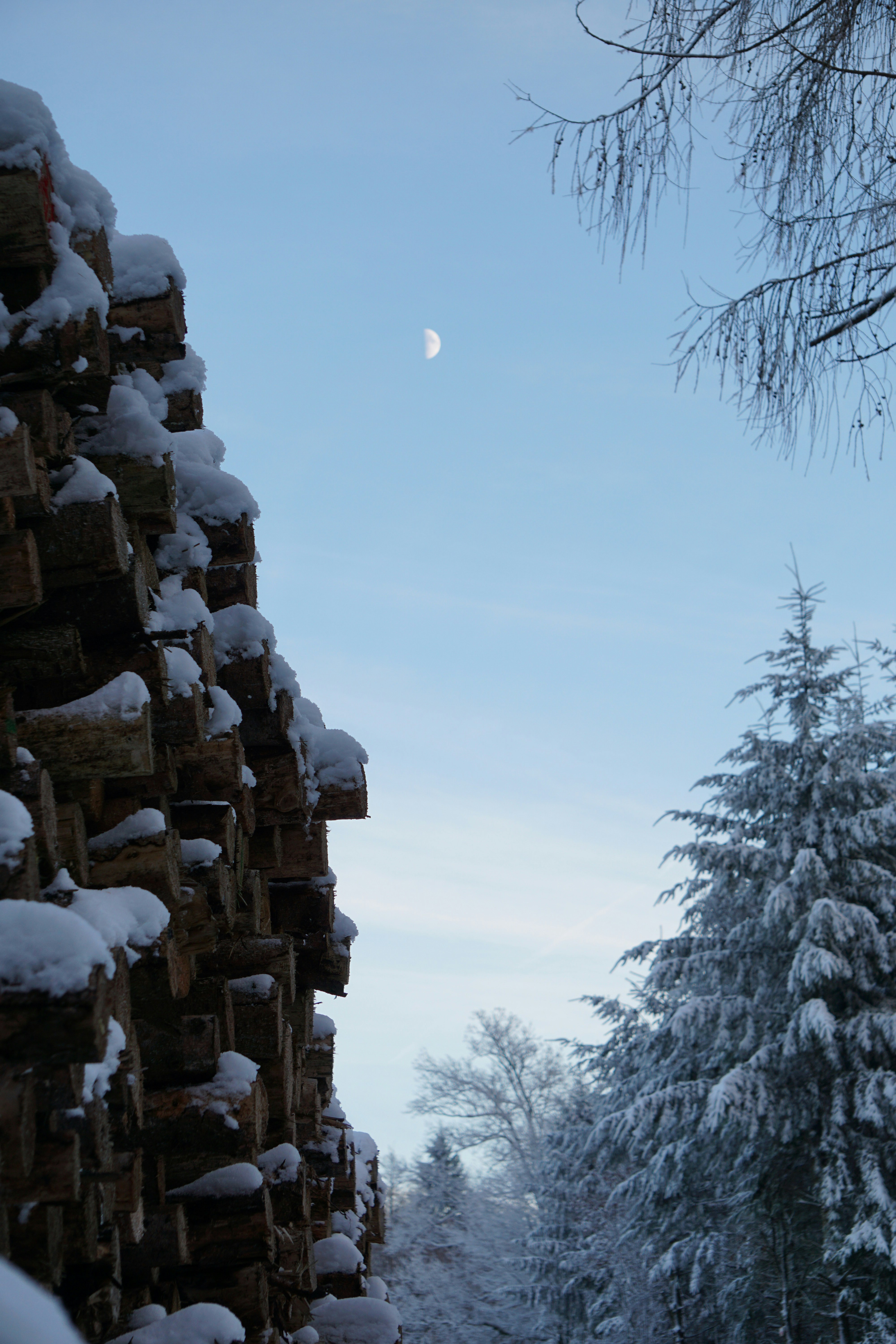 Stack of firewood covered in snow with moon in sky