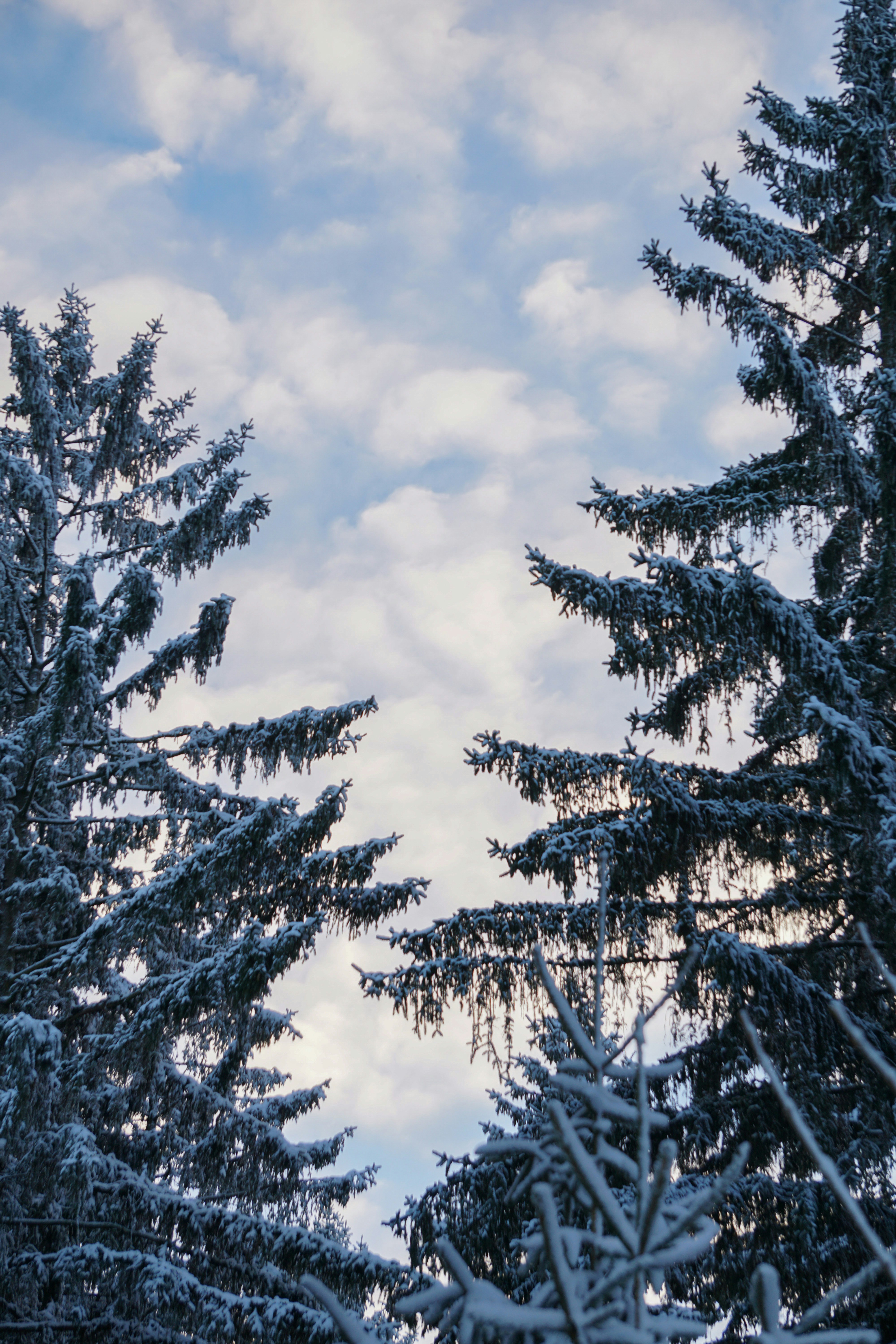 Photo by marie_hastreiter