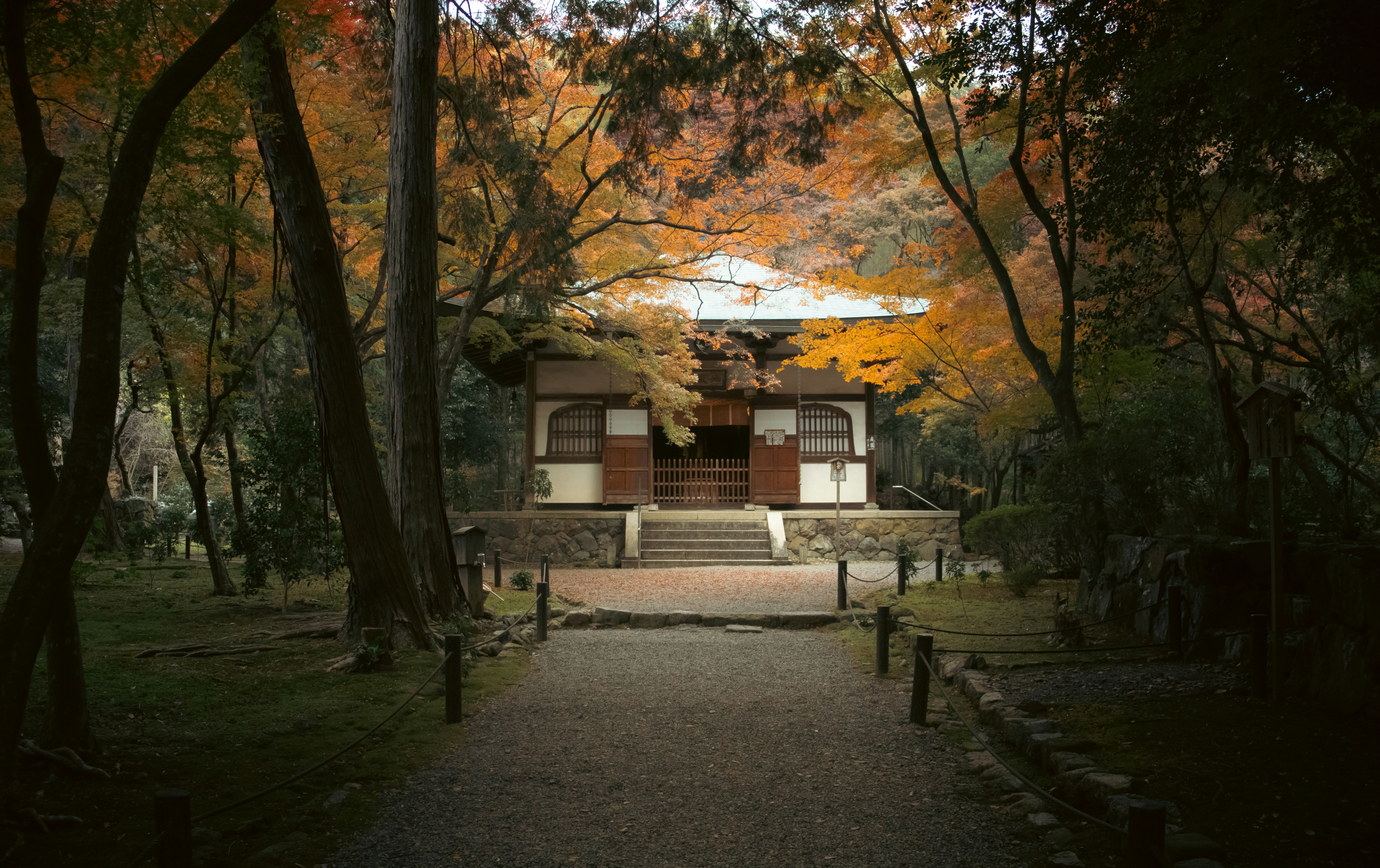 Japanese temple surrounded by autumn trees