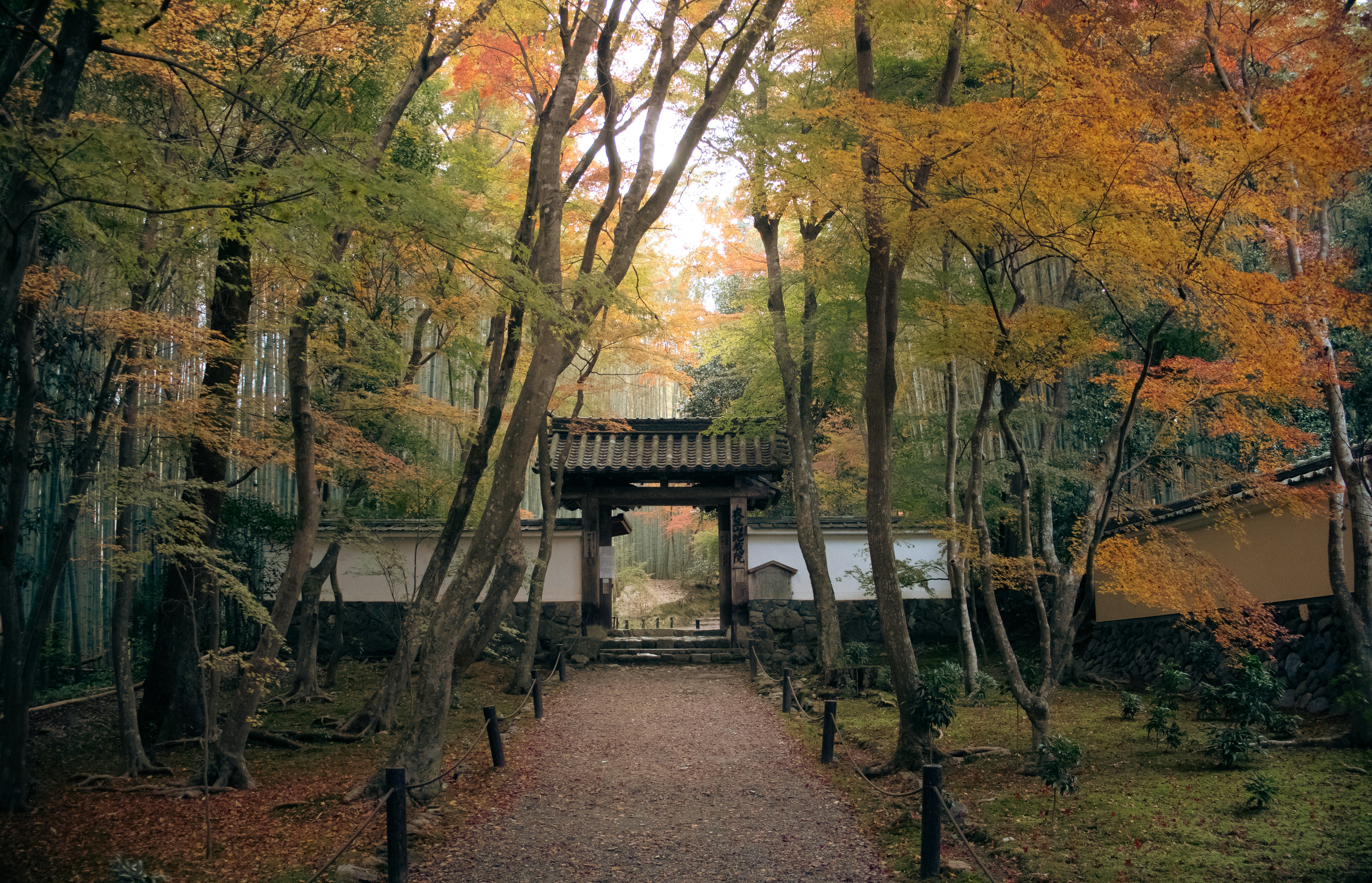 Photo by katekasiutich