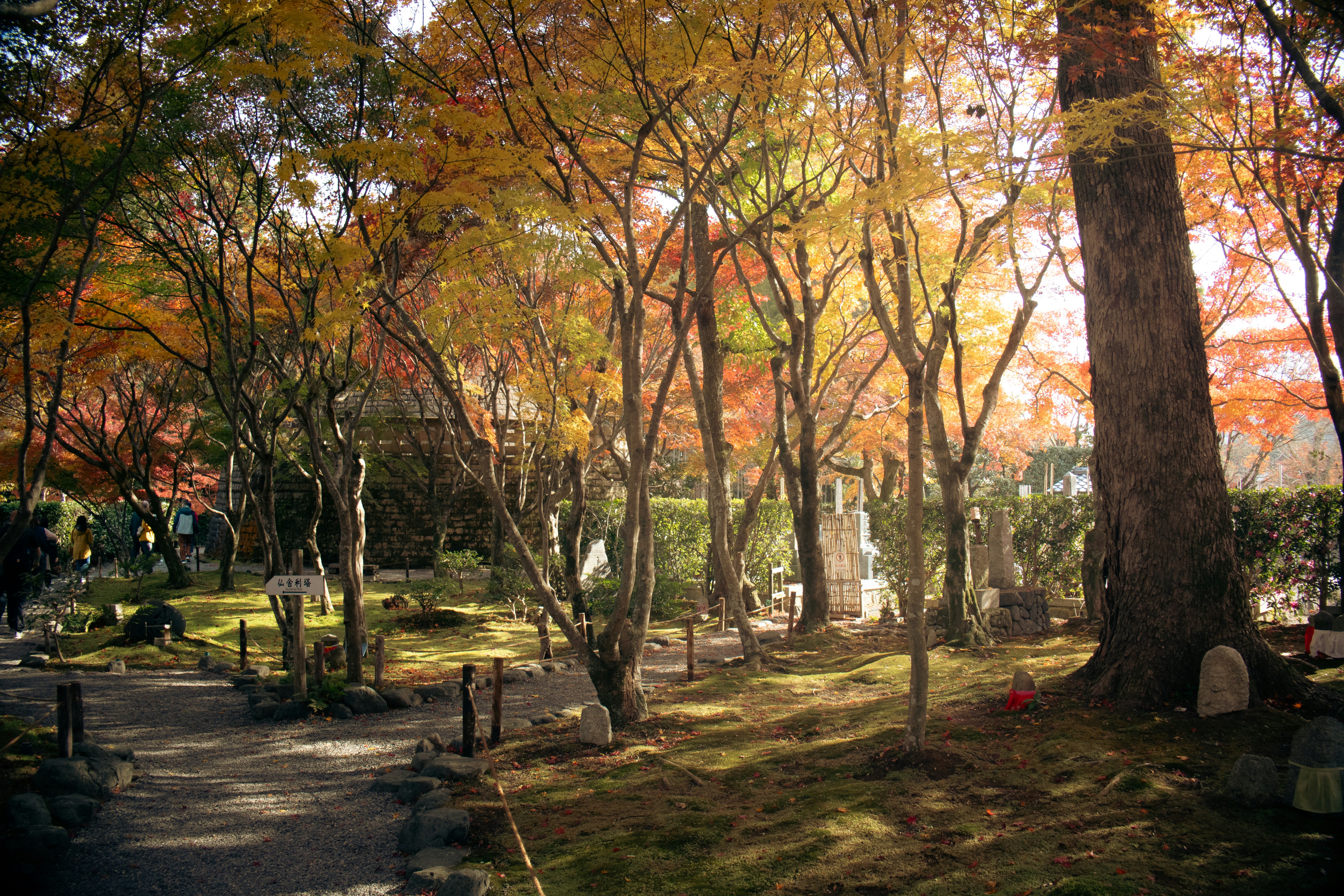 Photo by katekasiutich