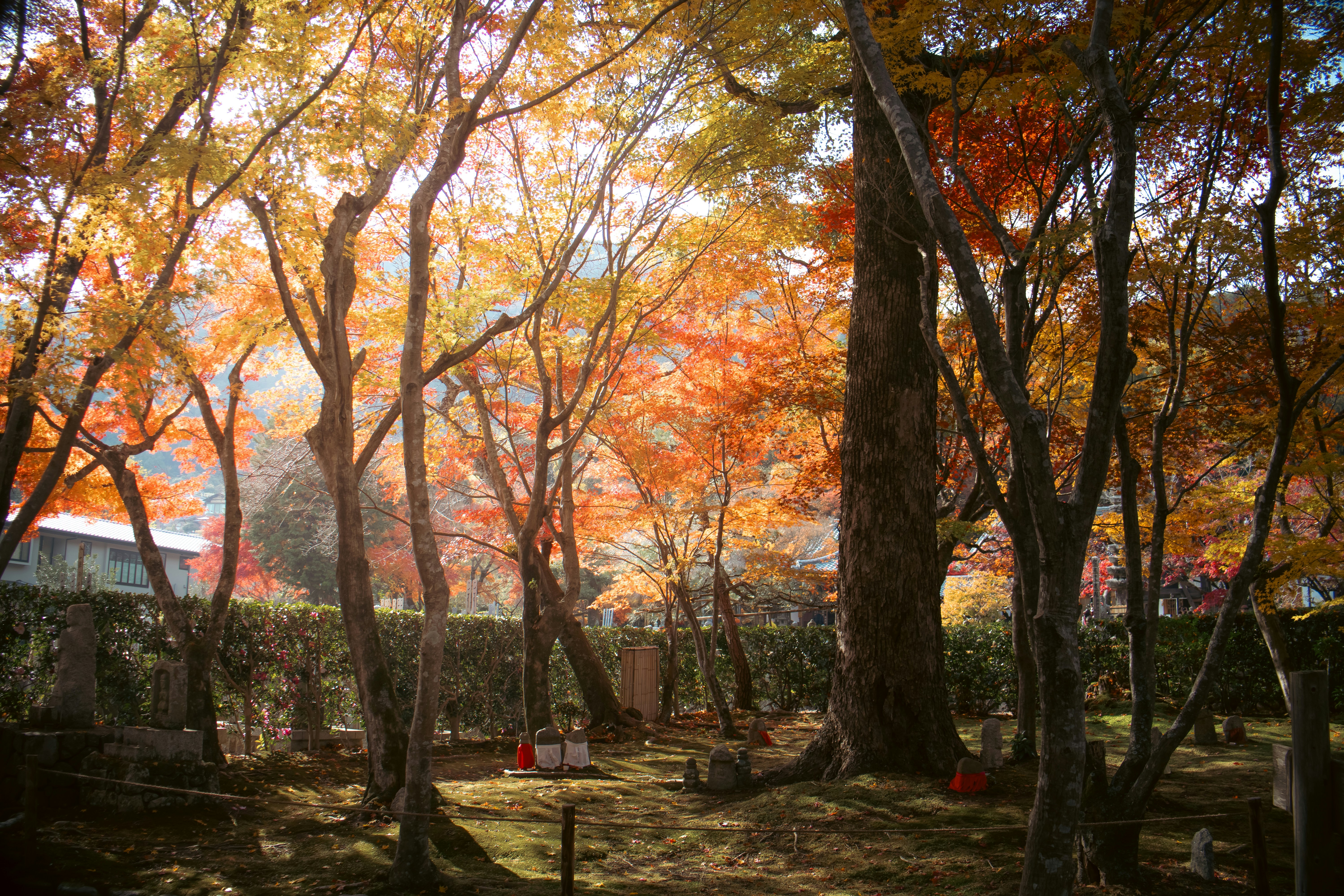 Photo by katekasiutich