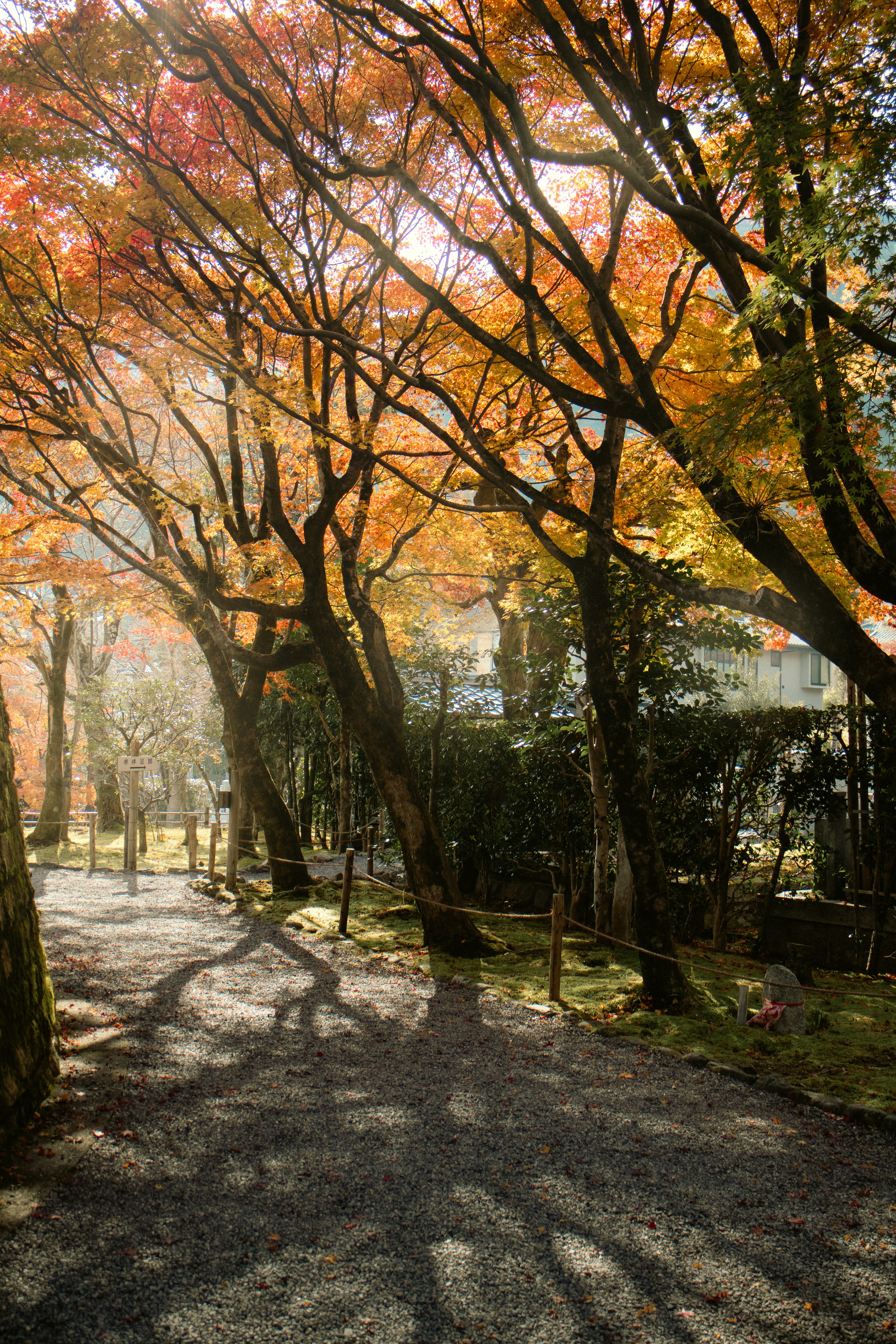 Photo by katekasiutich