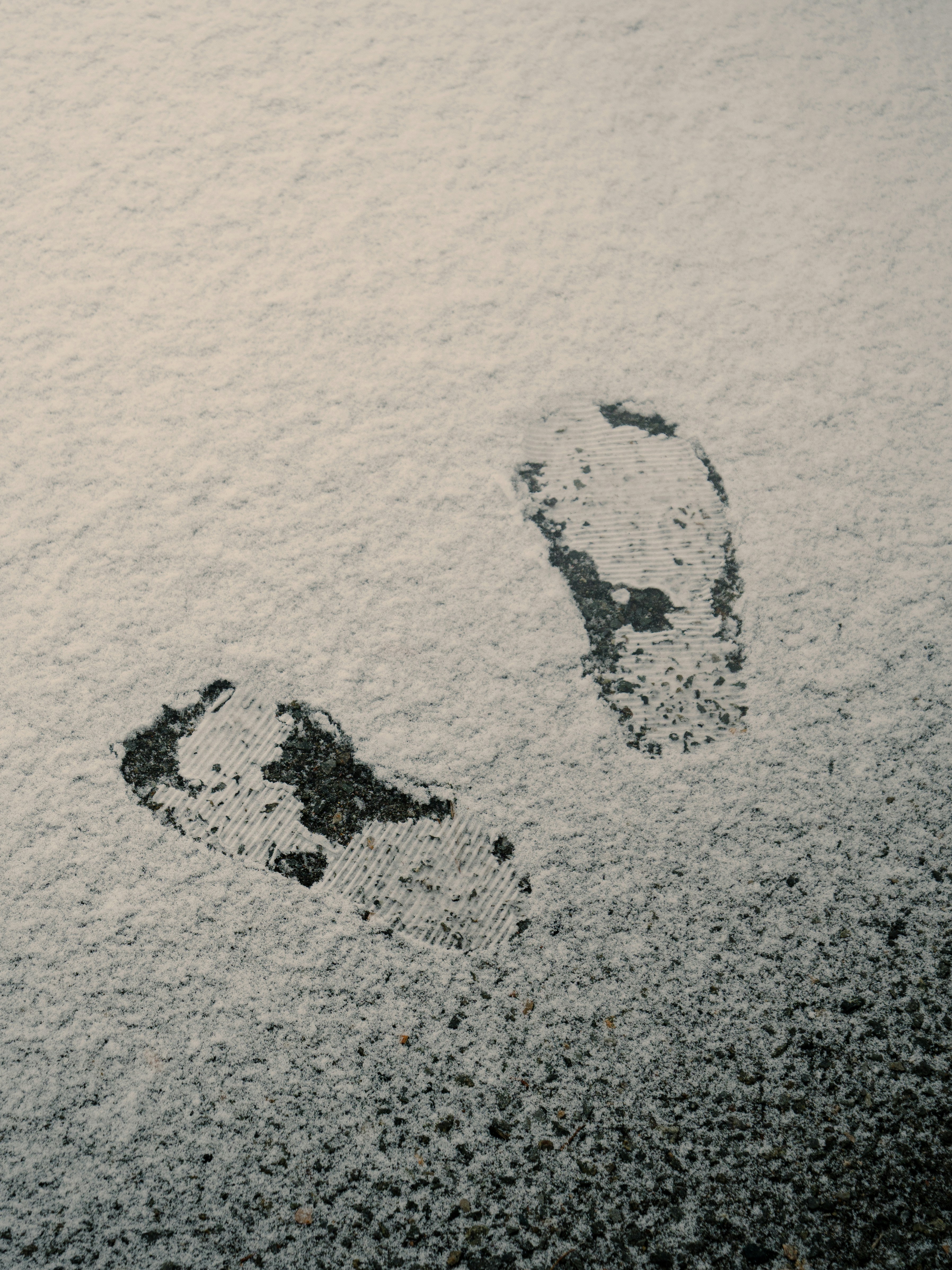 신선한 눈 위의 발자국