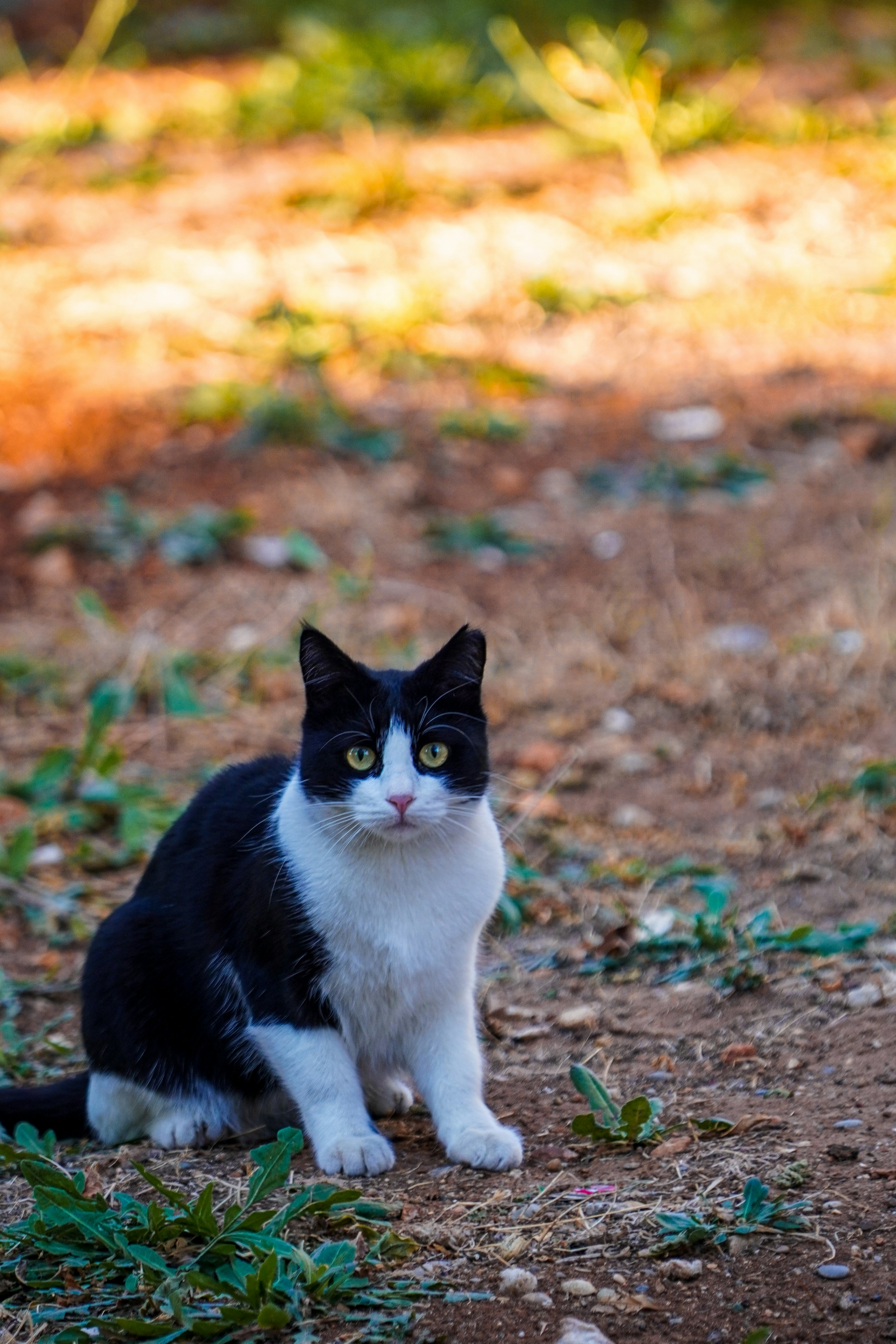 Photo by visualbydeniz