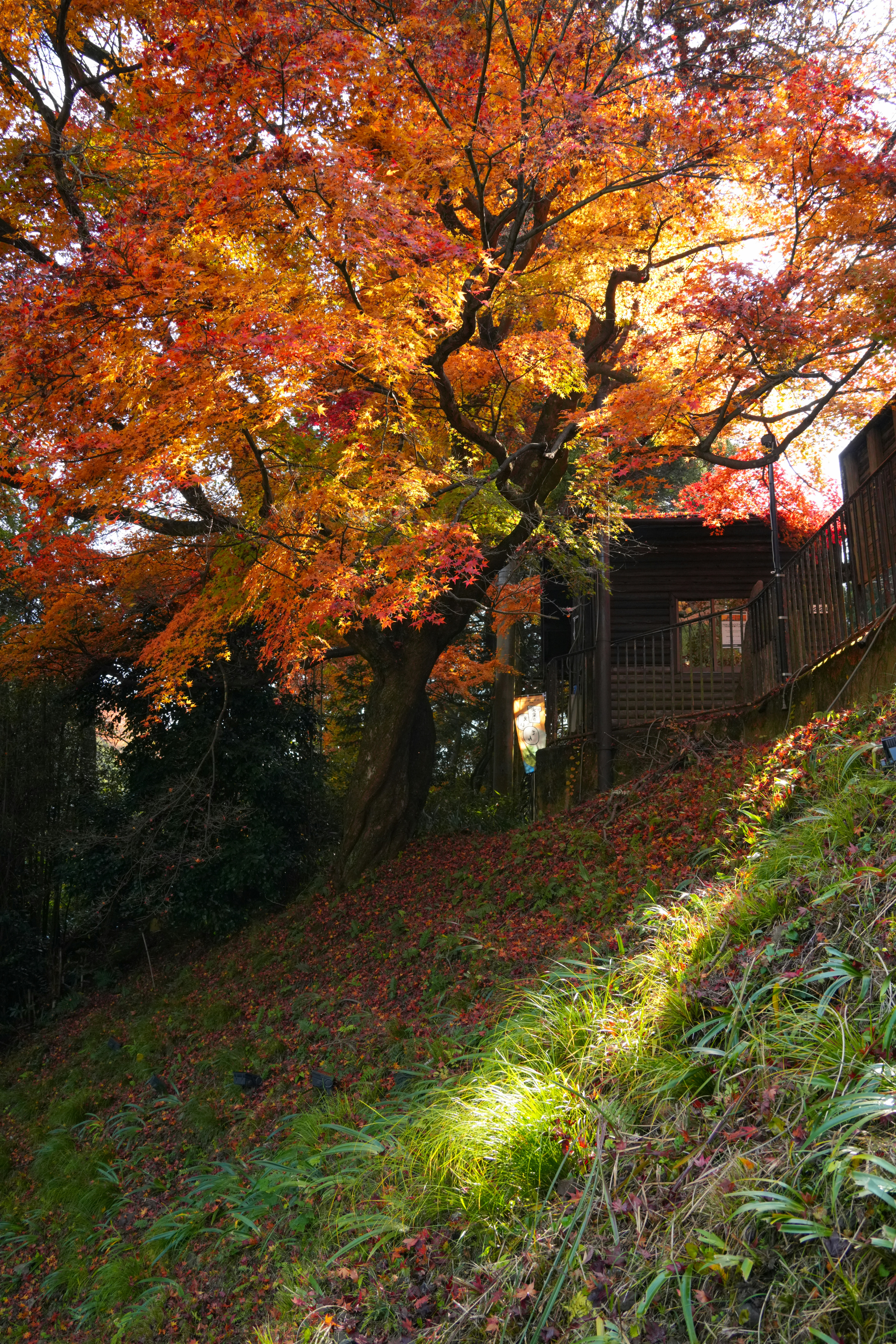 Photo by hattrick1996