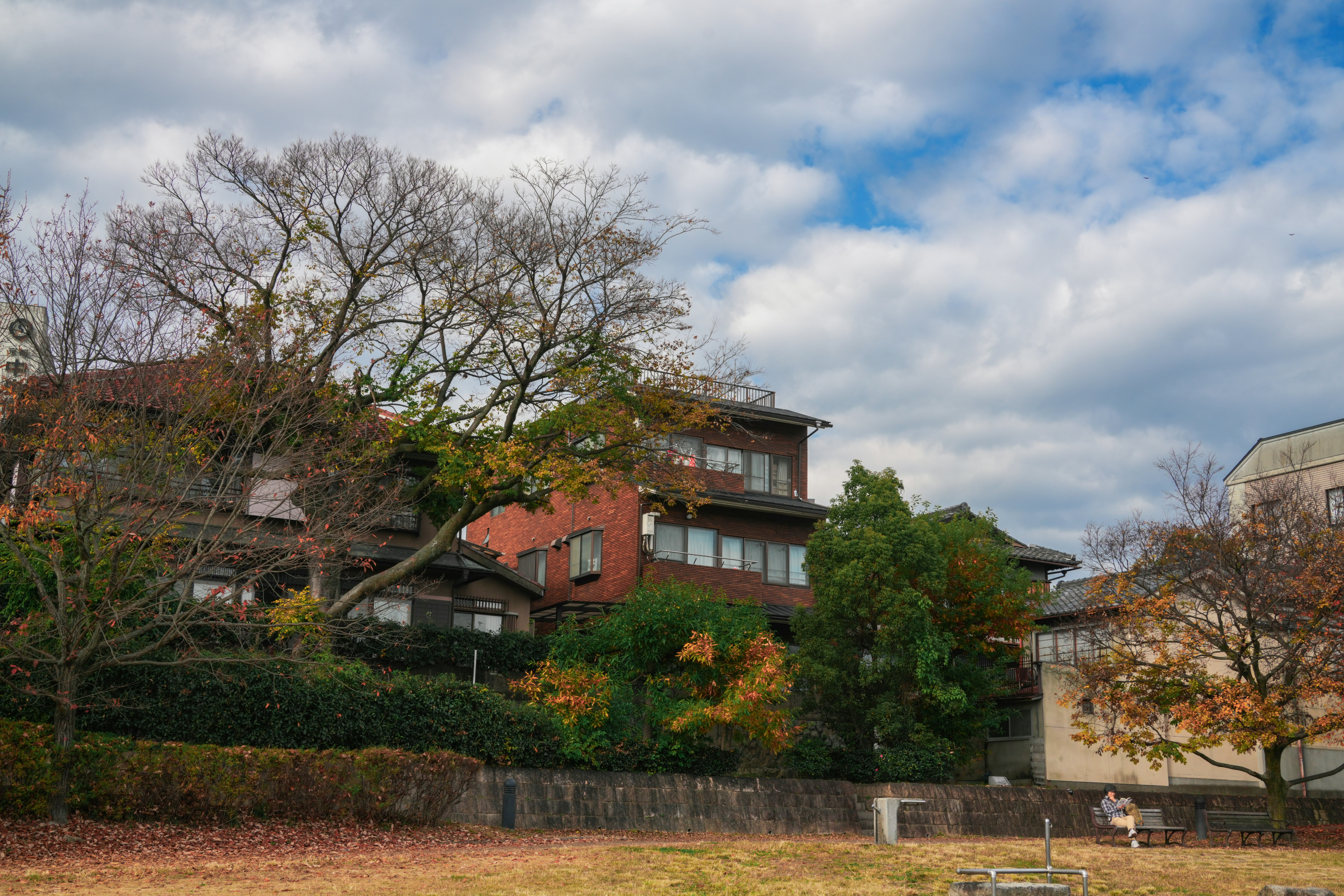 Photo by hattrick1996