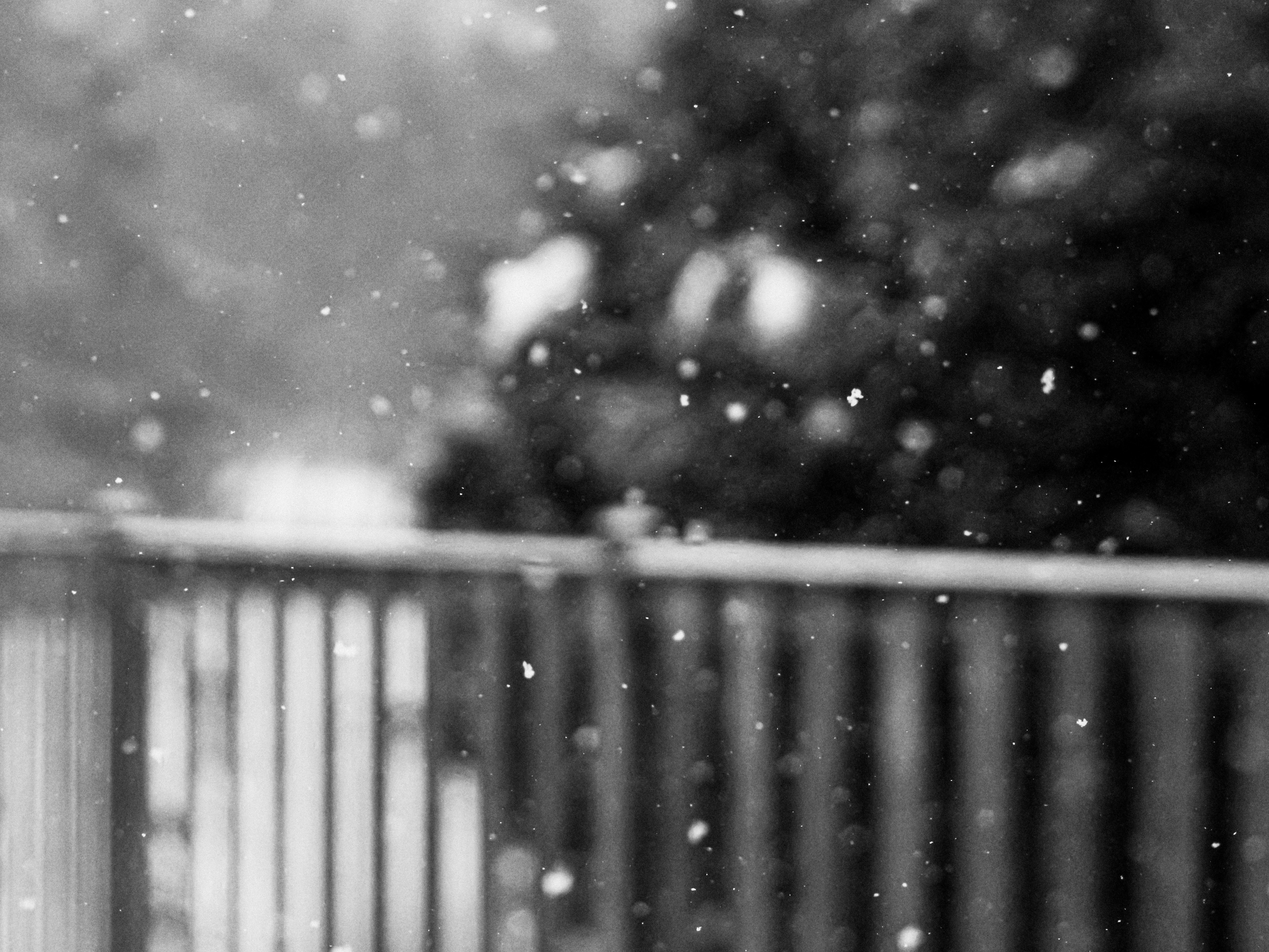 Photo by linusbelanger