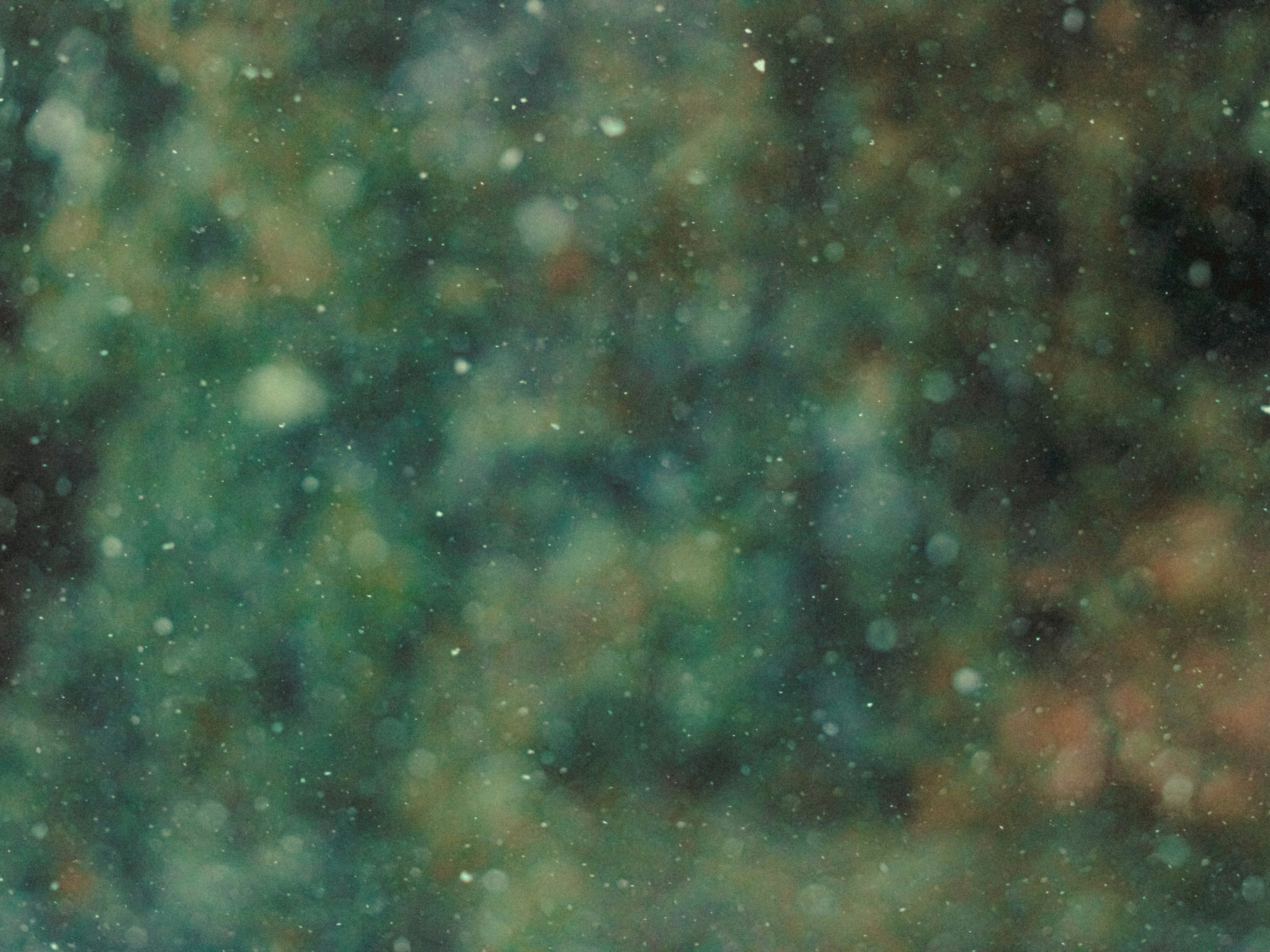 Photo by linusbelanger