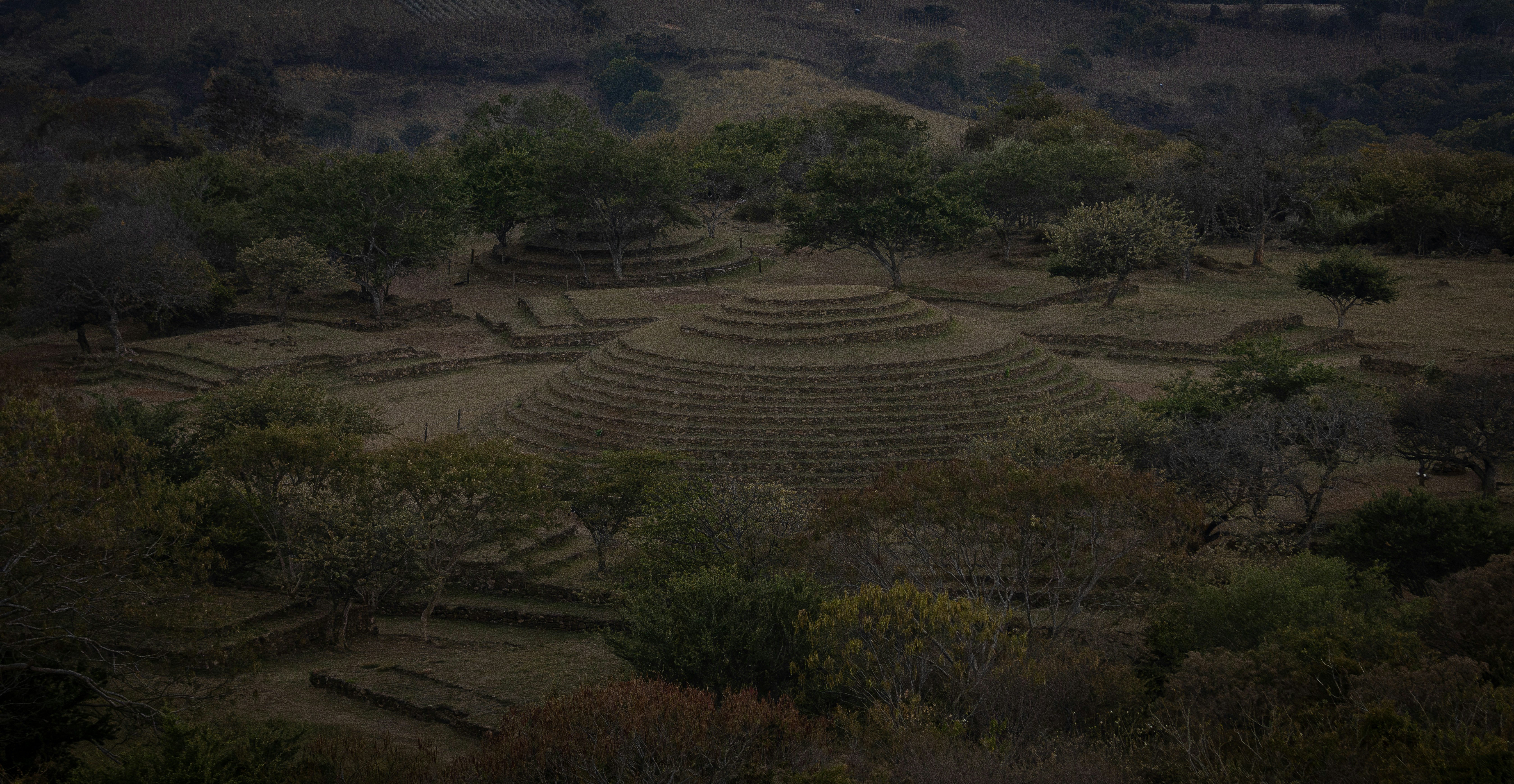 Ancient ruins nestled among trees in a valley.