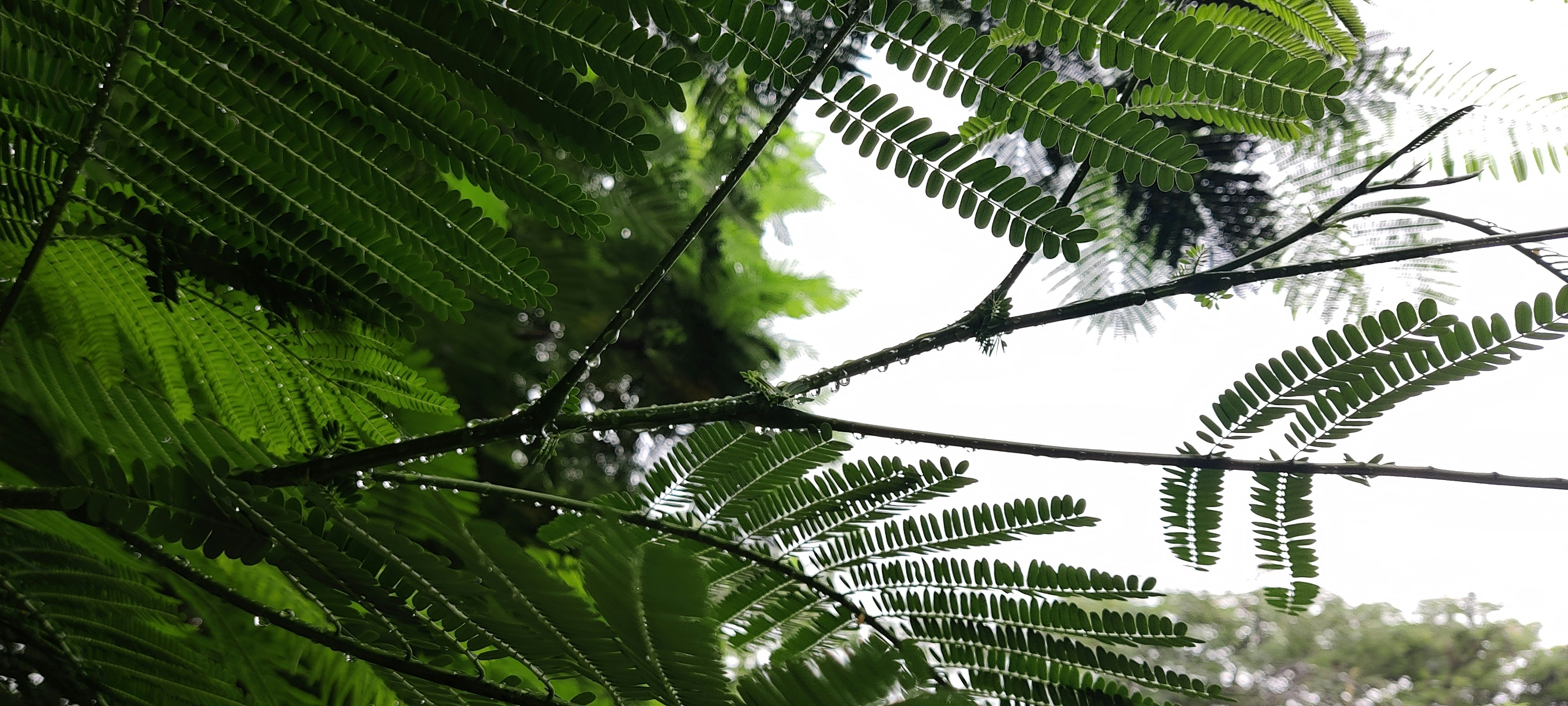 Photo by athishsr