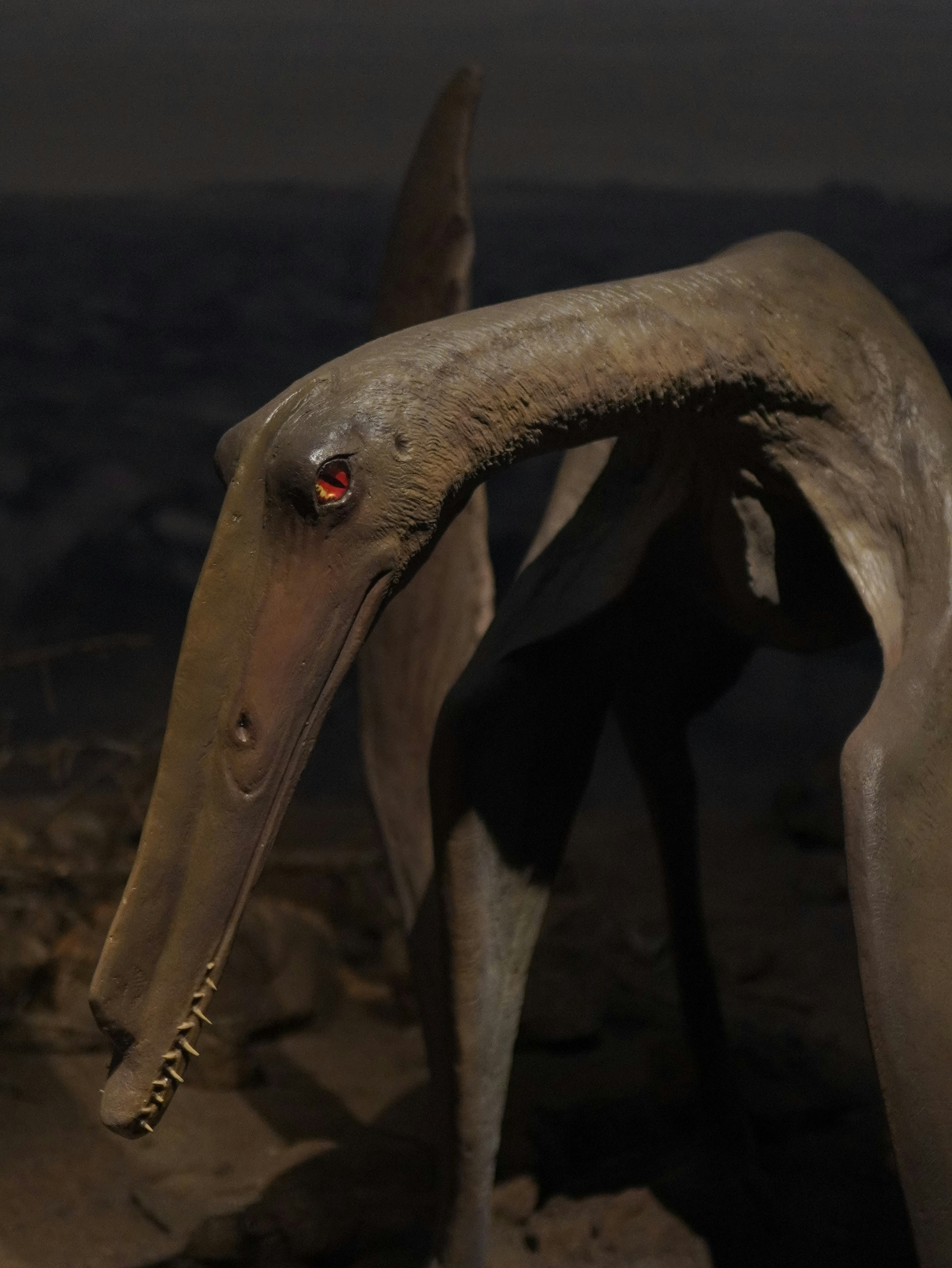 Pterodáctilo