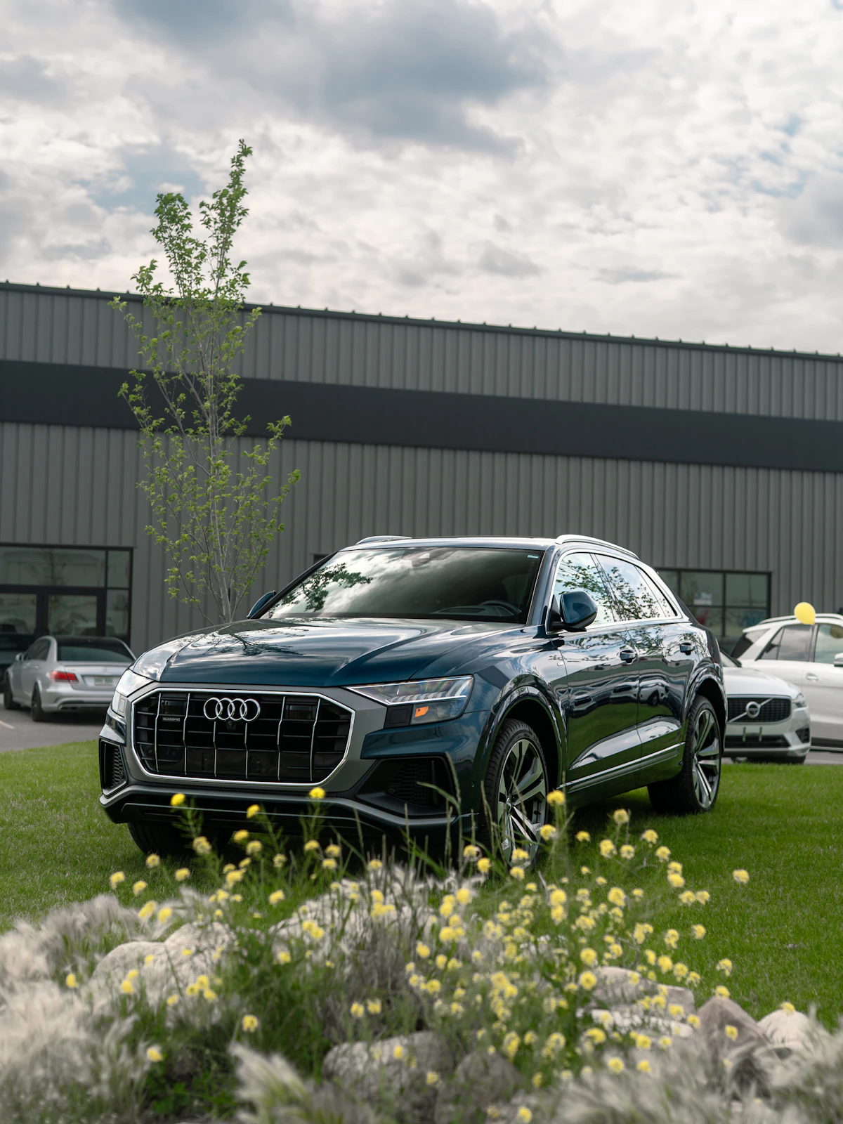 Audi Q8 50 TDI Quattro