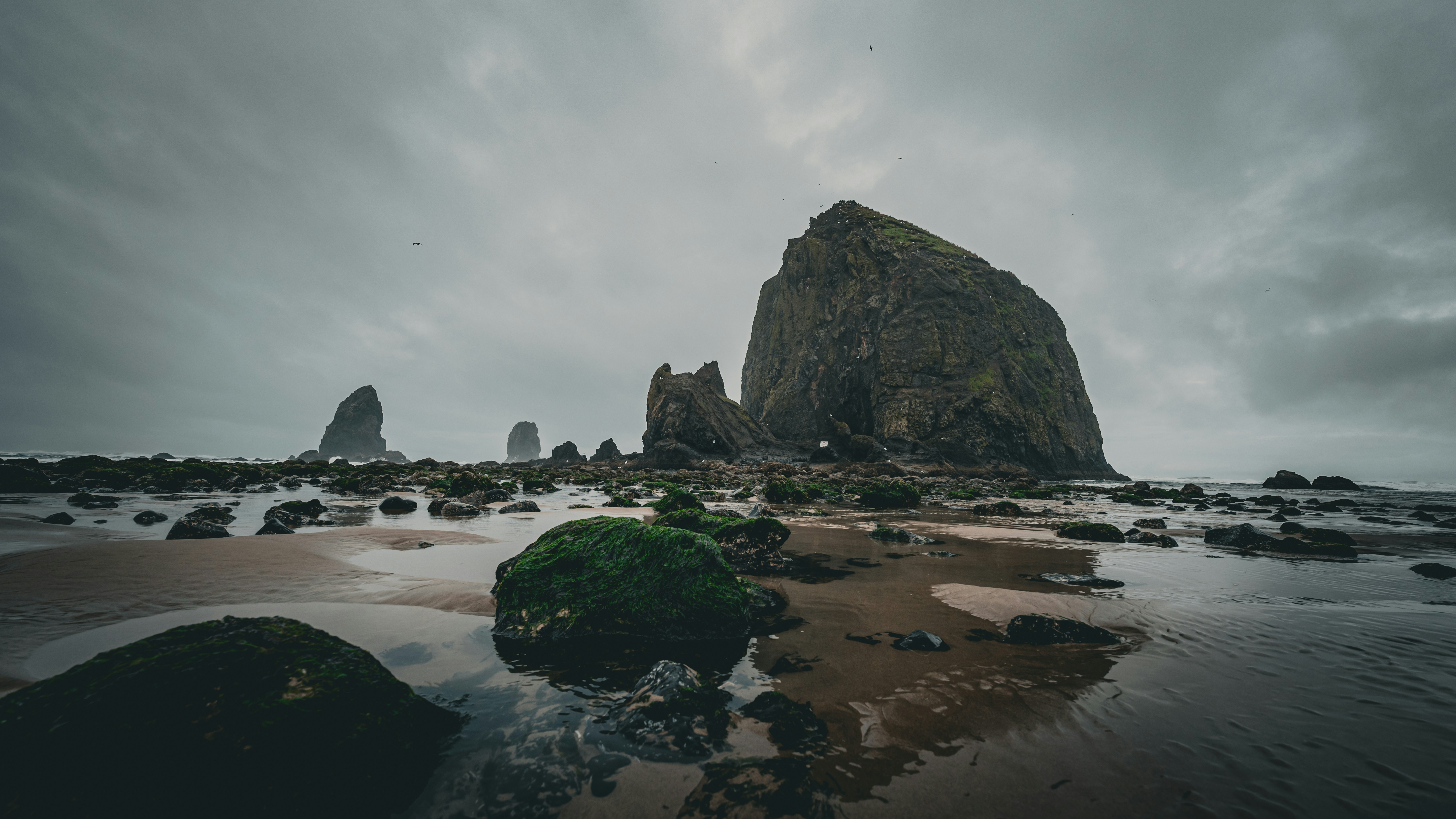 Large rock formations on a misty beach at low tide