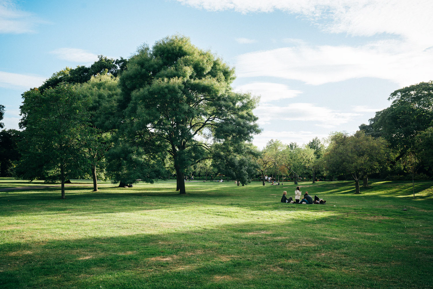 A wide mown lawn with tall leafy trees and a few people sitting on the grass under a pale blue sky