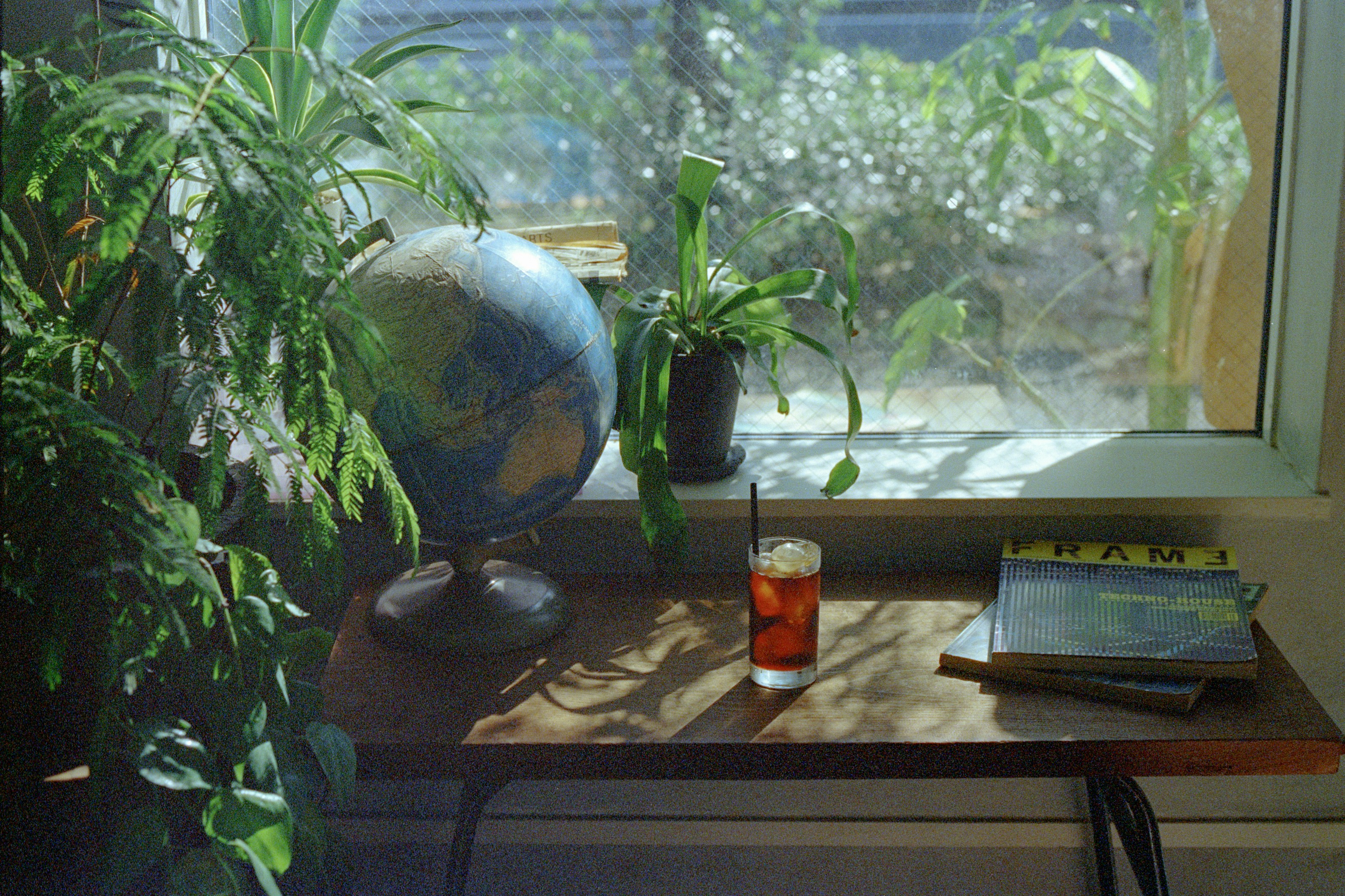 Globe and drink on desk by sunny window with plants