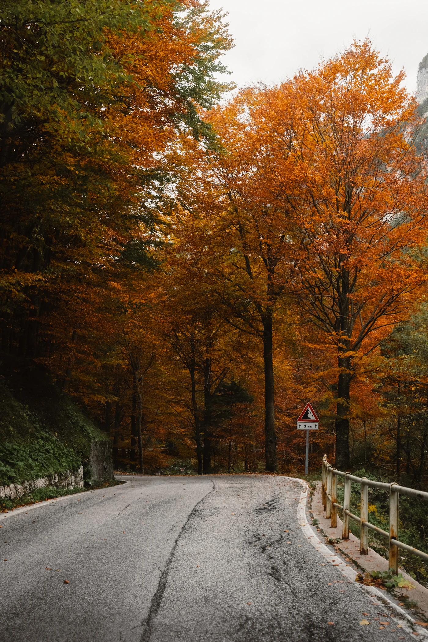 A winding road through a bright autumn forest of red and gold trees