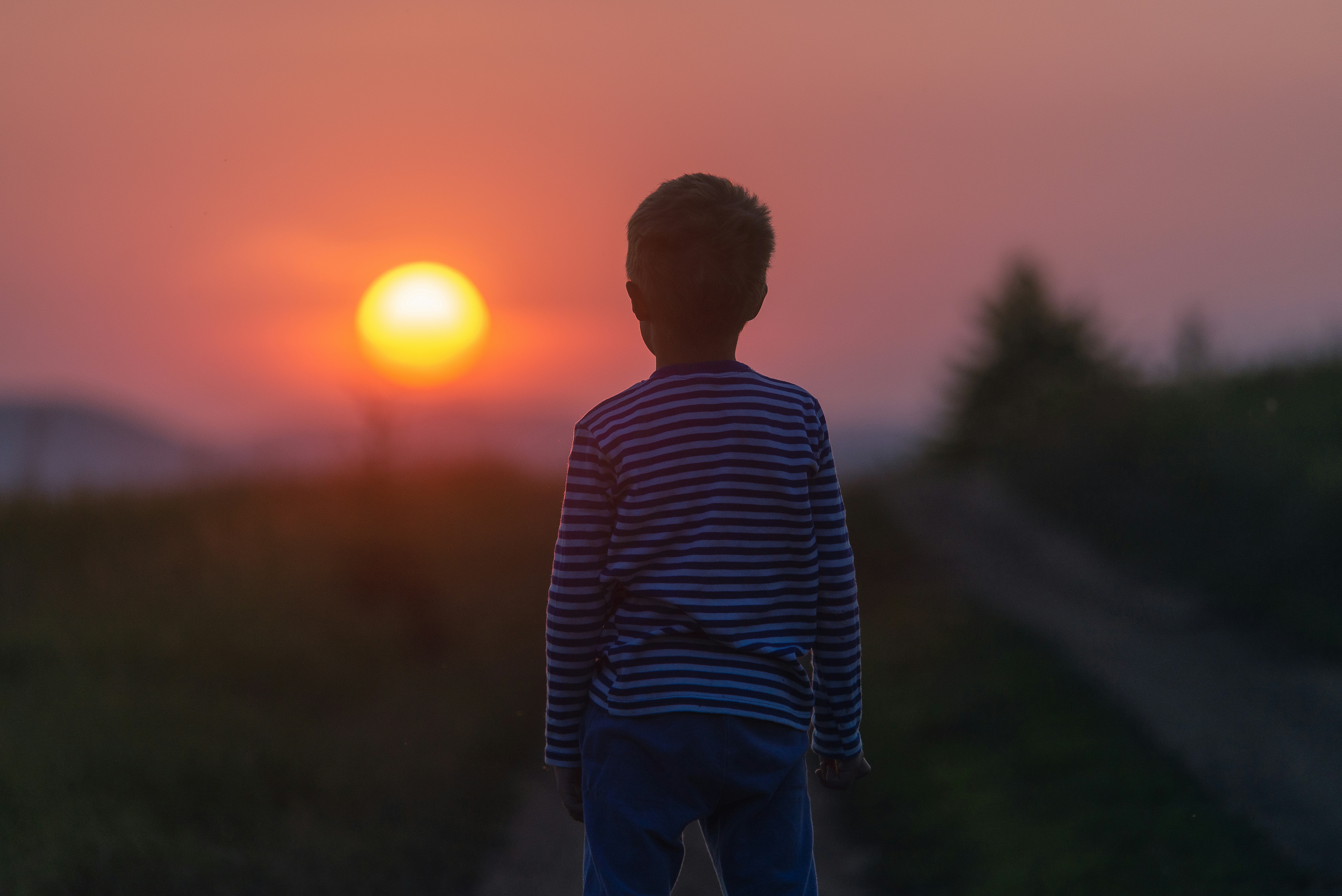 Boy watching the sunset over a field