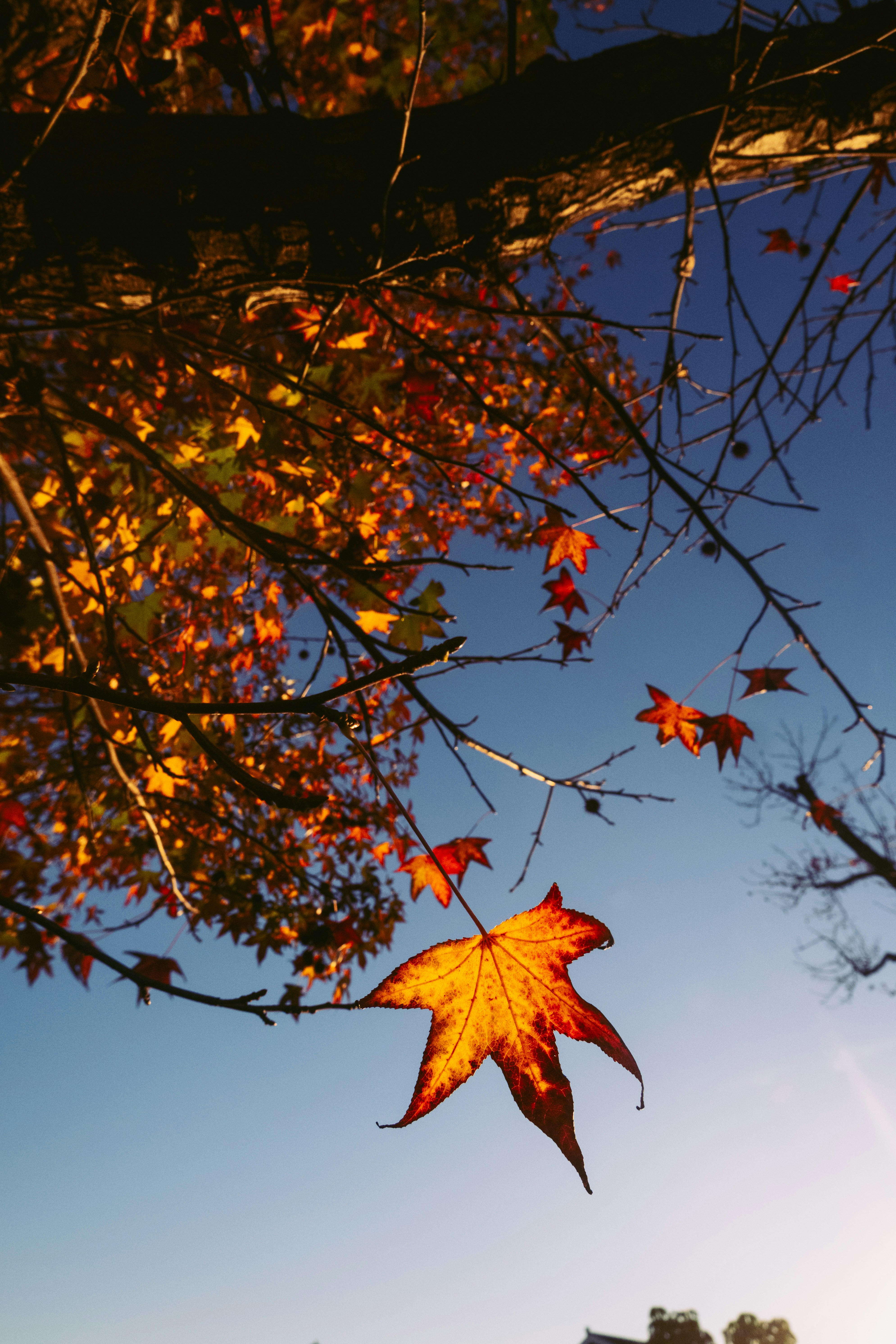 Photo by drizzy_bear86