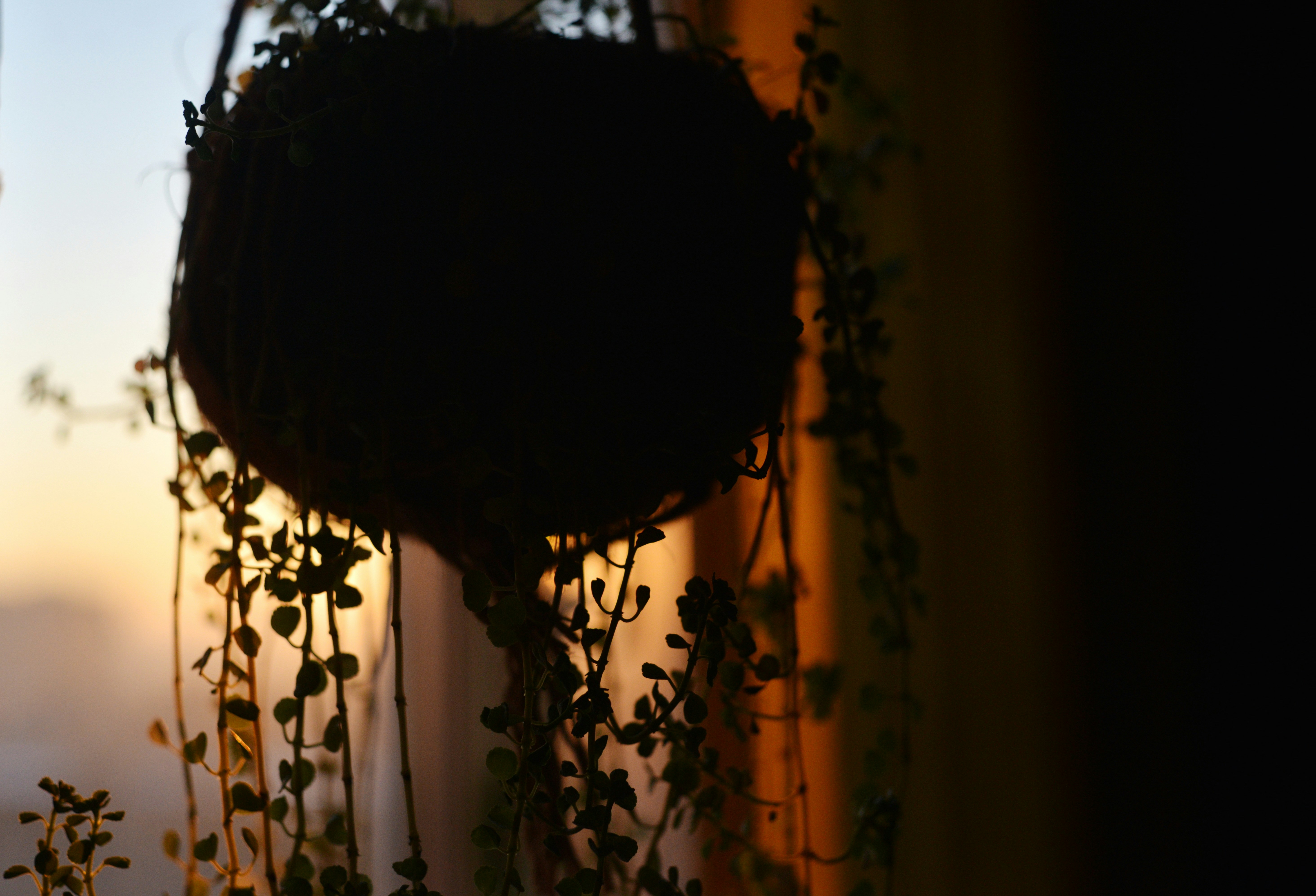 Photo by cherstve_pechivo