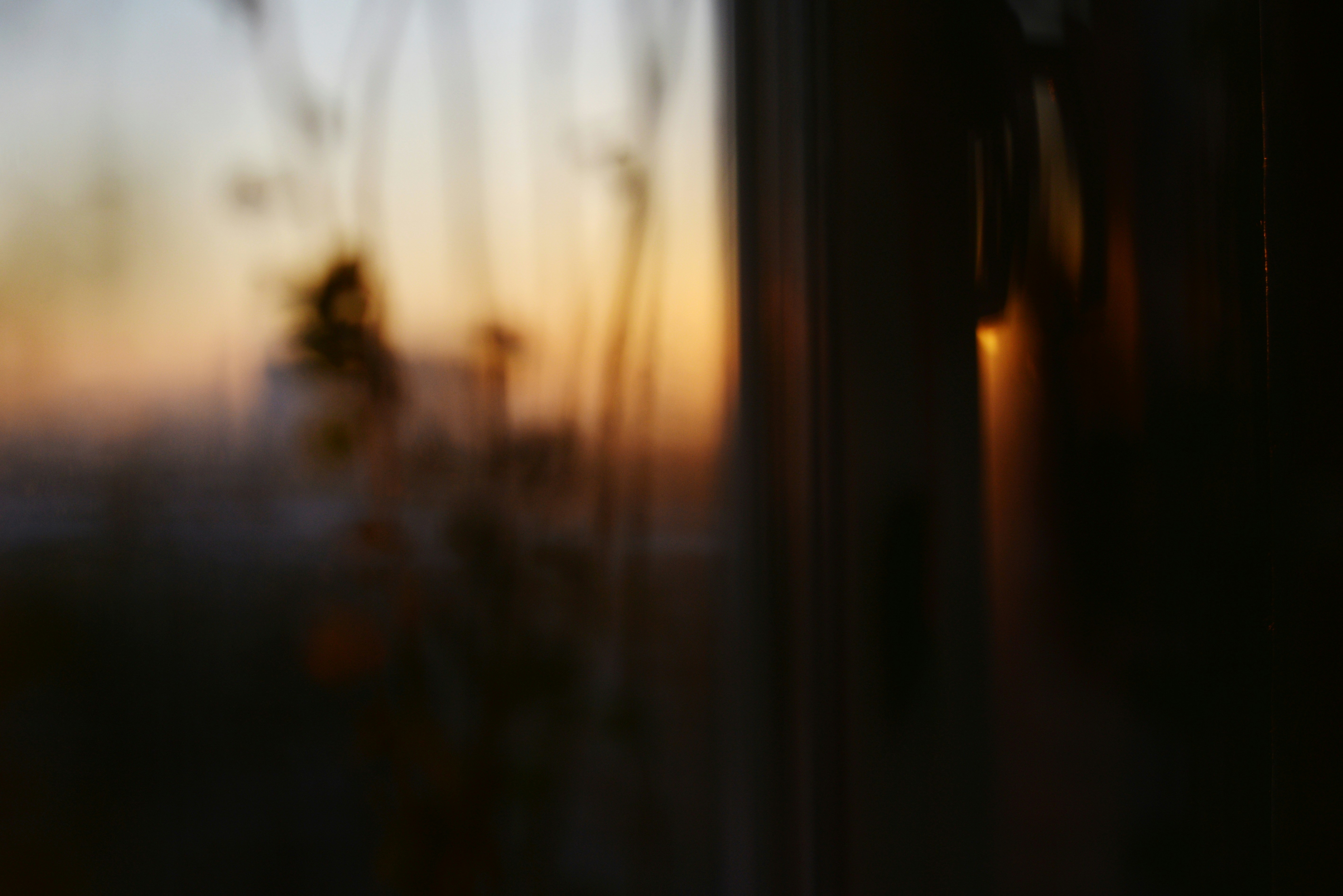 Photo by cherstve_pechivo