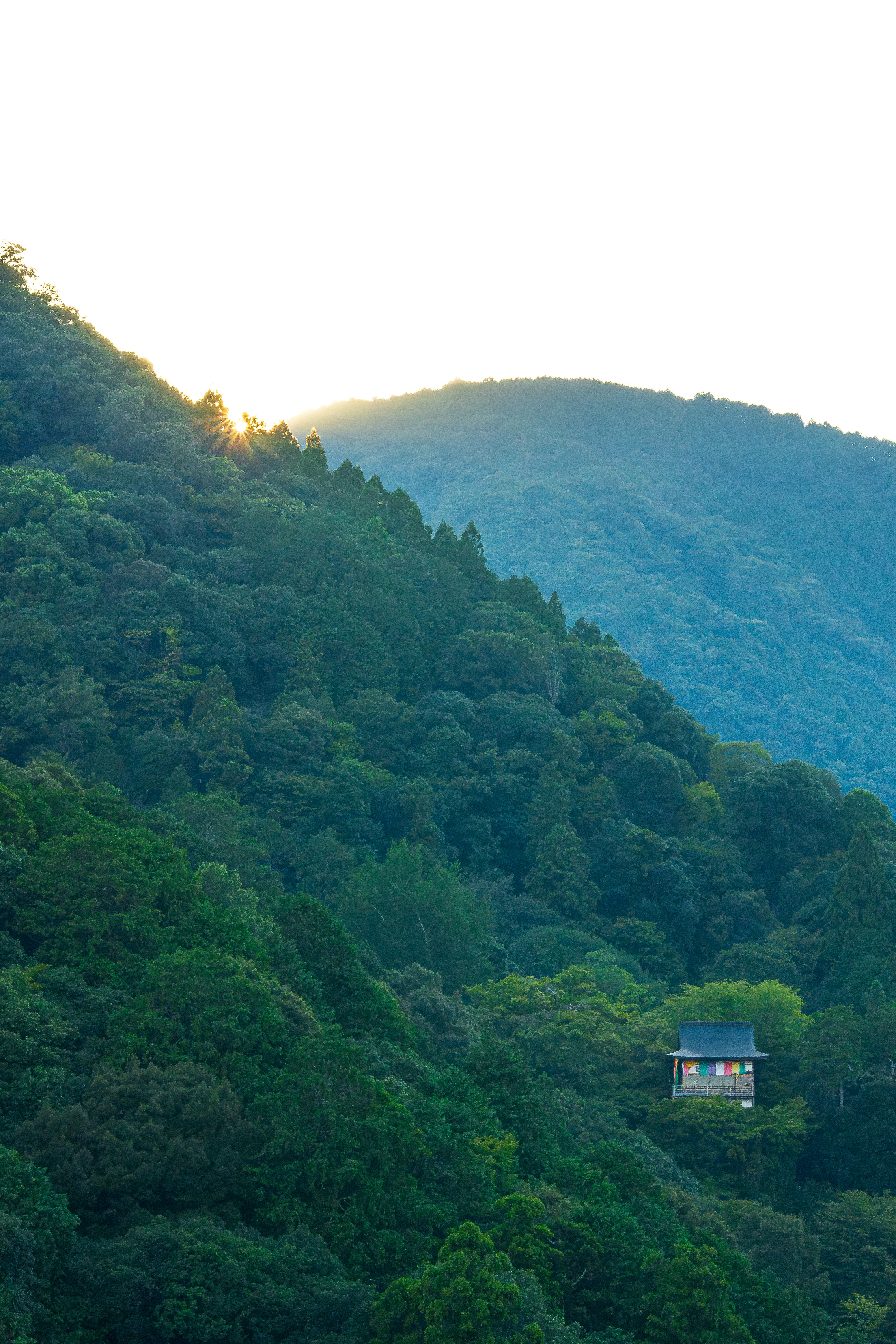 Photo by whereiskylenow