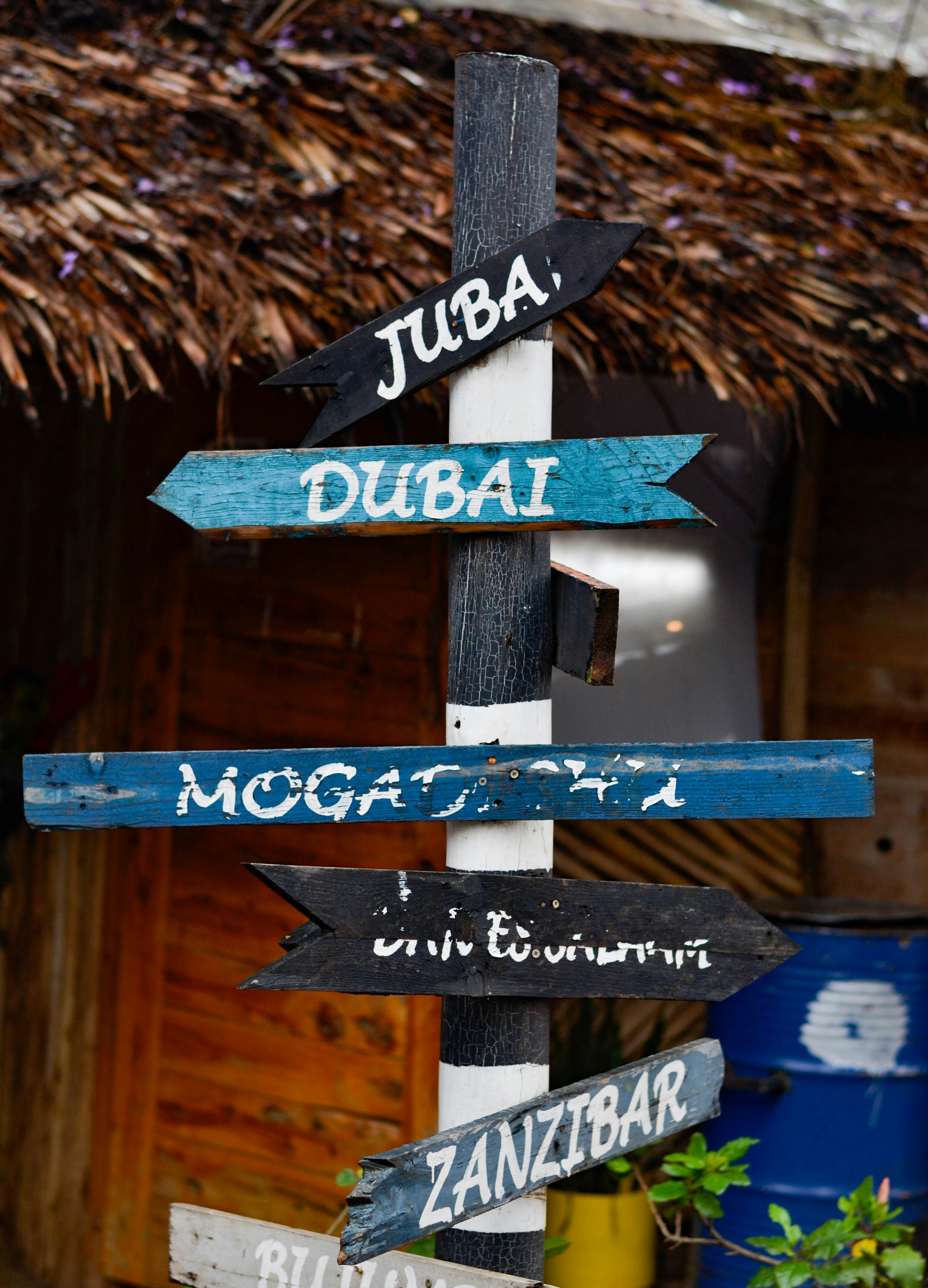 A cork map with colored pins showing travel destinations