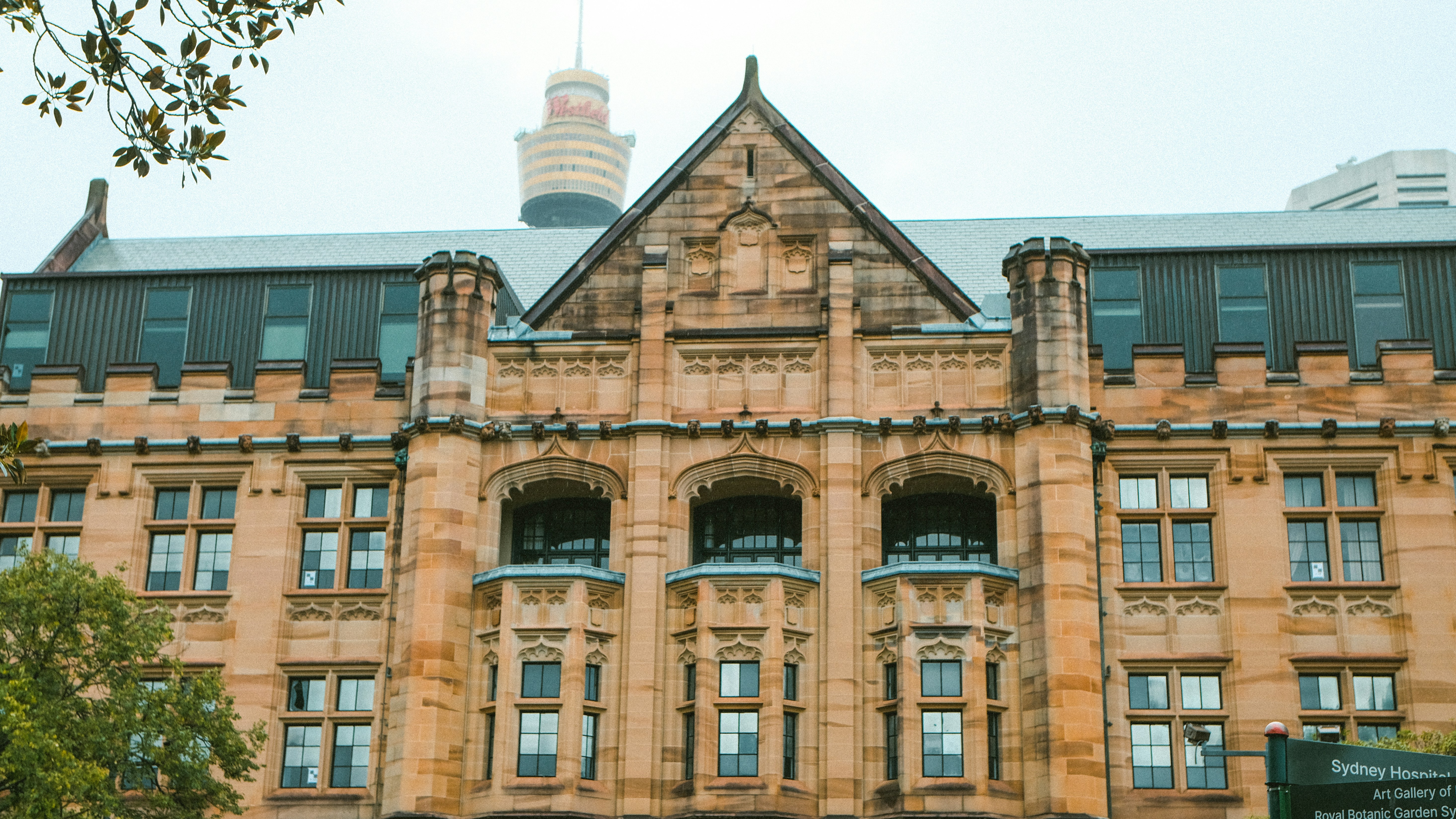 Photo by anniehatuanh