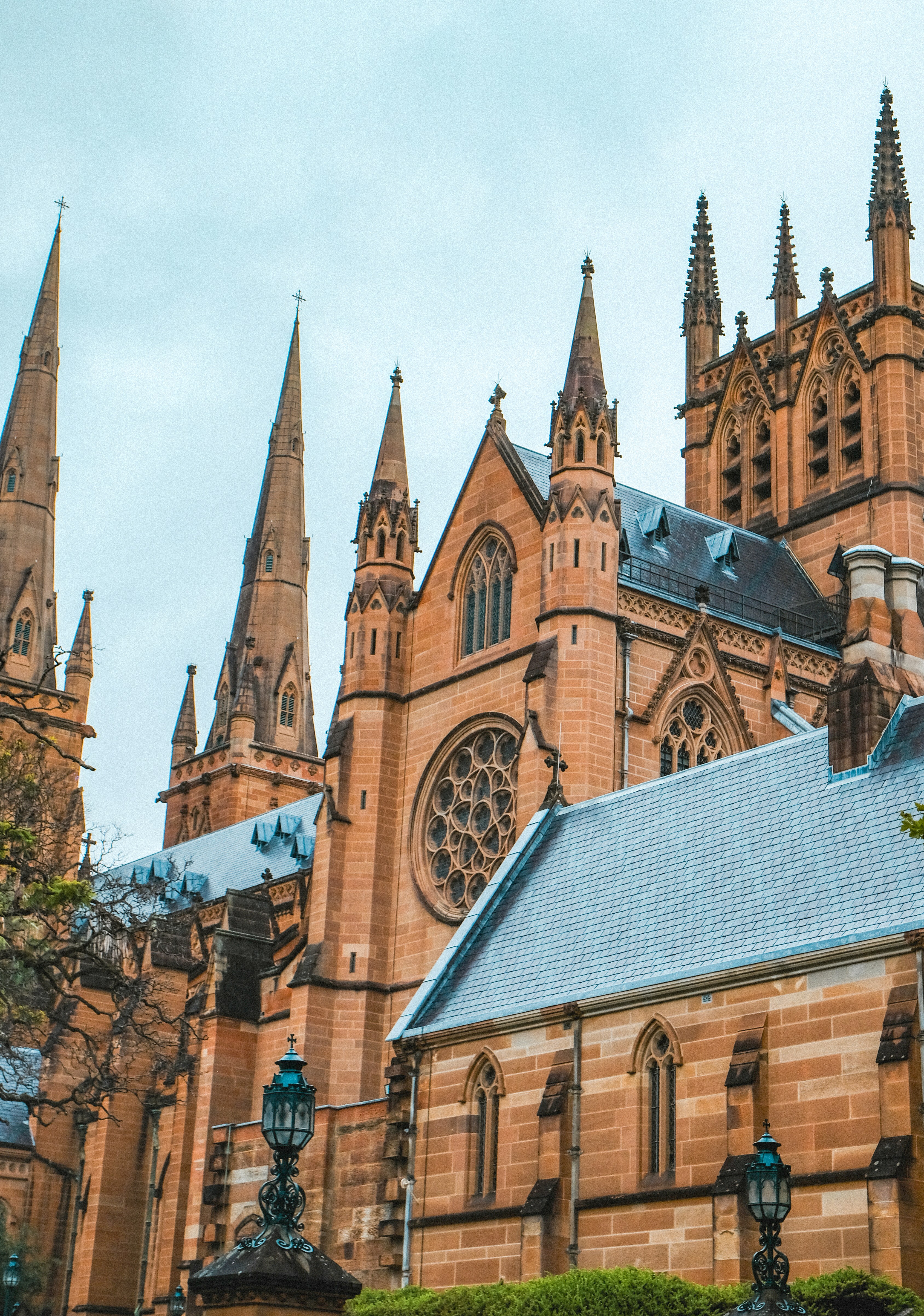 Photo by anniehatuanh