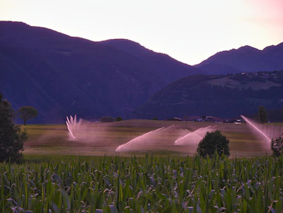 Farm sprinklers watering crops at dusk with mountains background