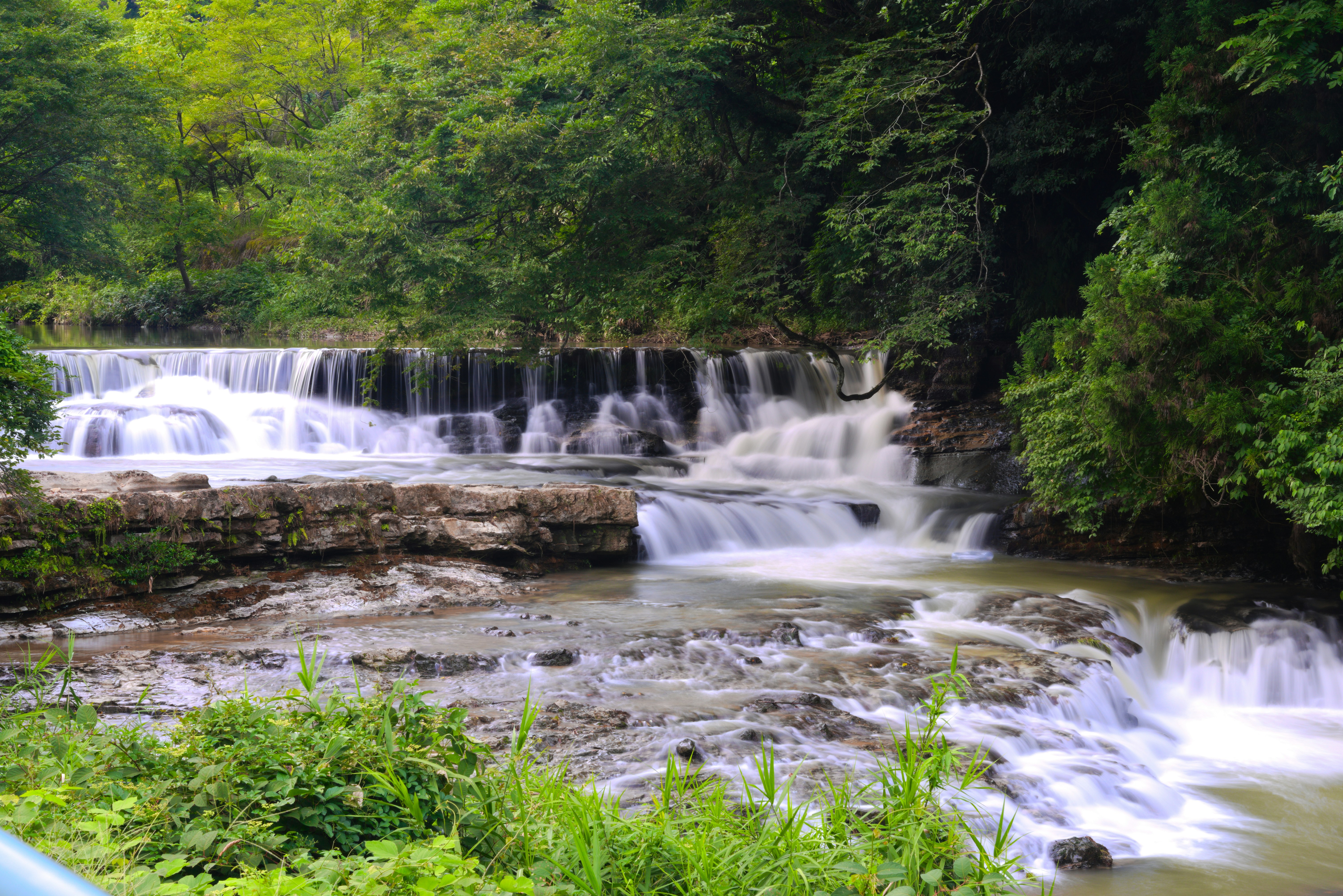 A lush green forest surrounds a multi-tiered waterfall.